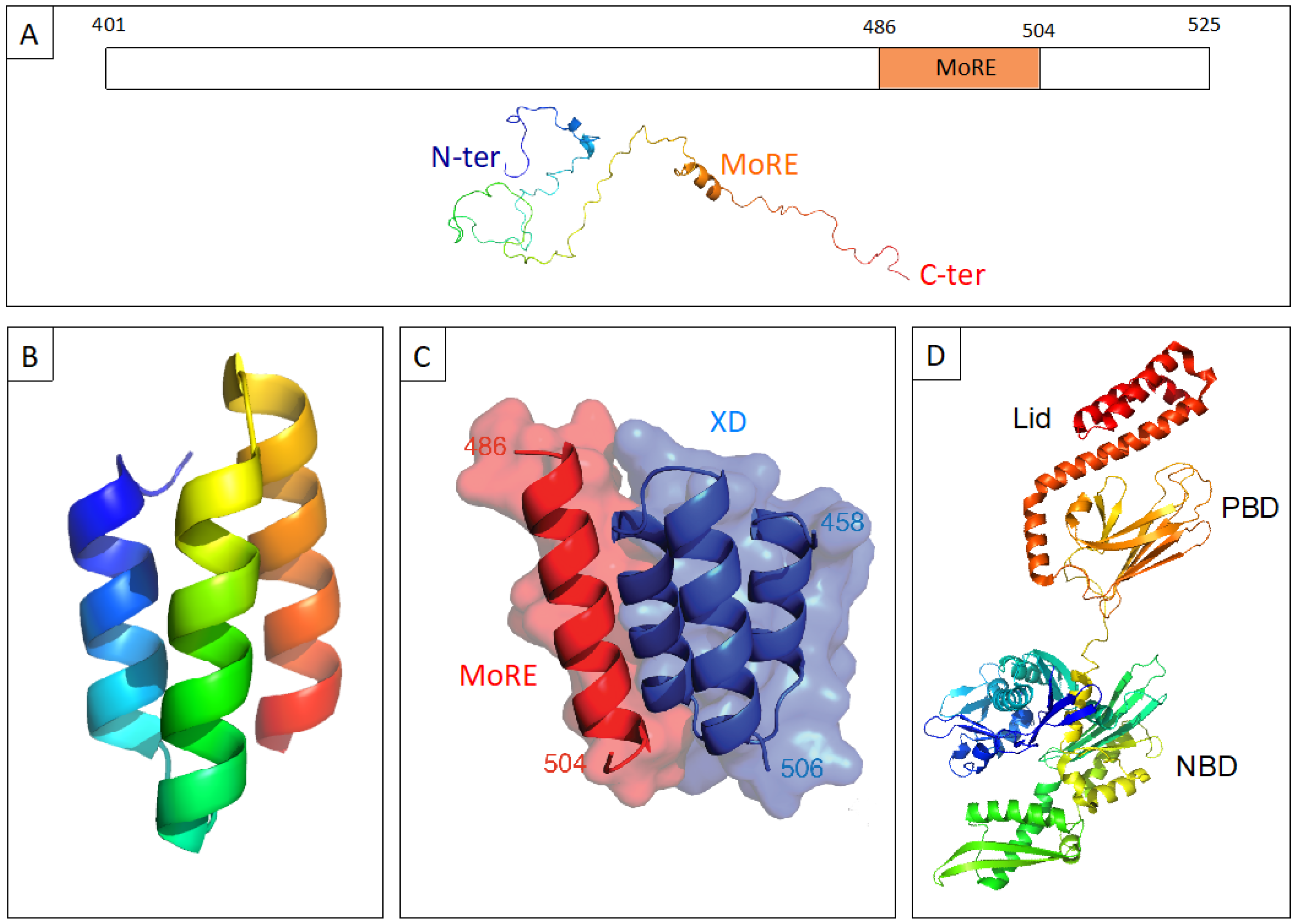 Biomolecules 09 00008 g001 Biomolecules 09 00008 g001