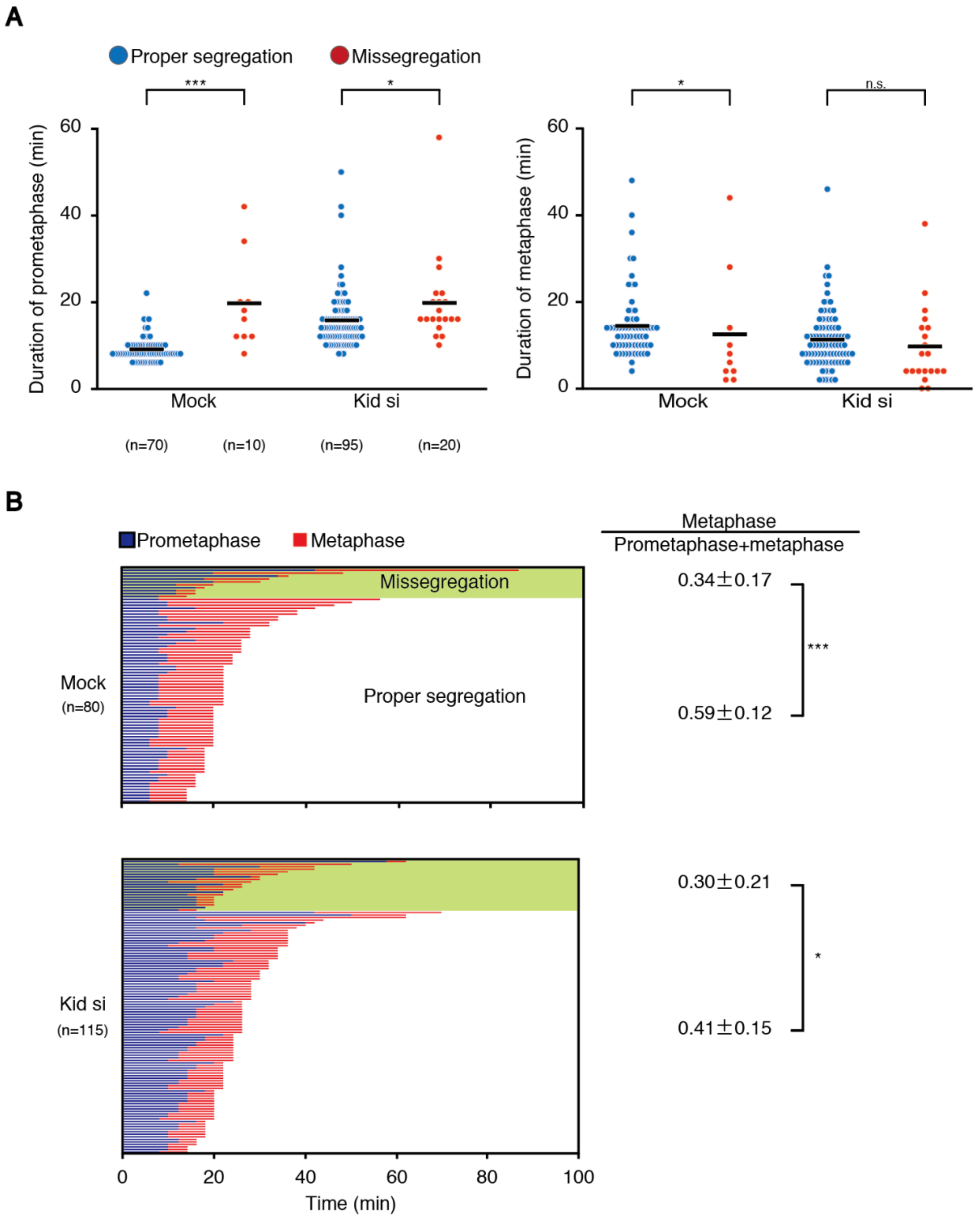 Delayed Chromosome Alignment to the Spindle Equator Increases the Rate ... Biology Diagrams