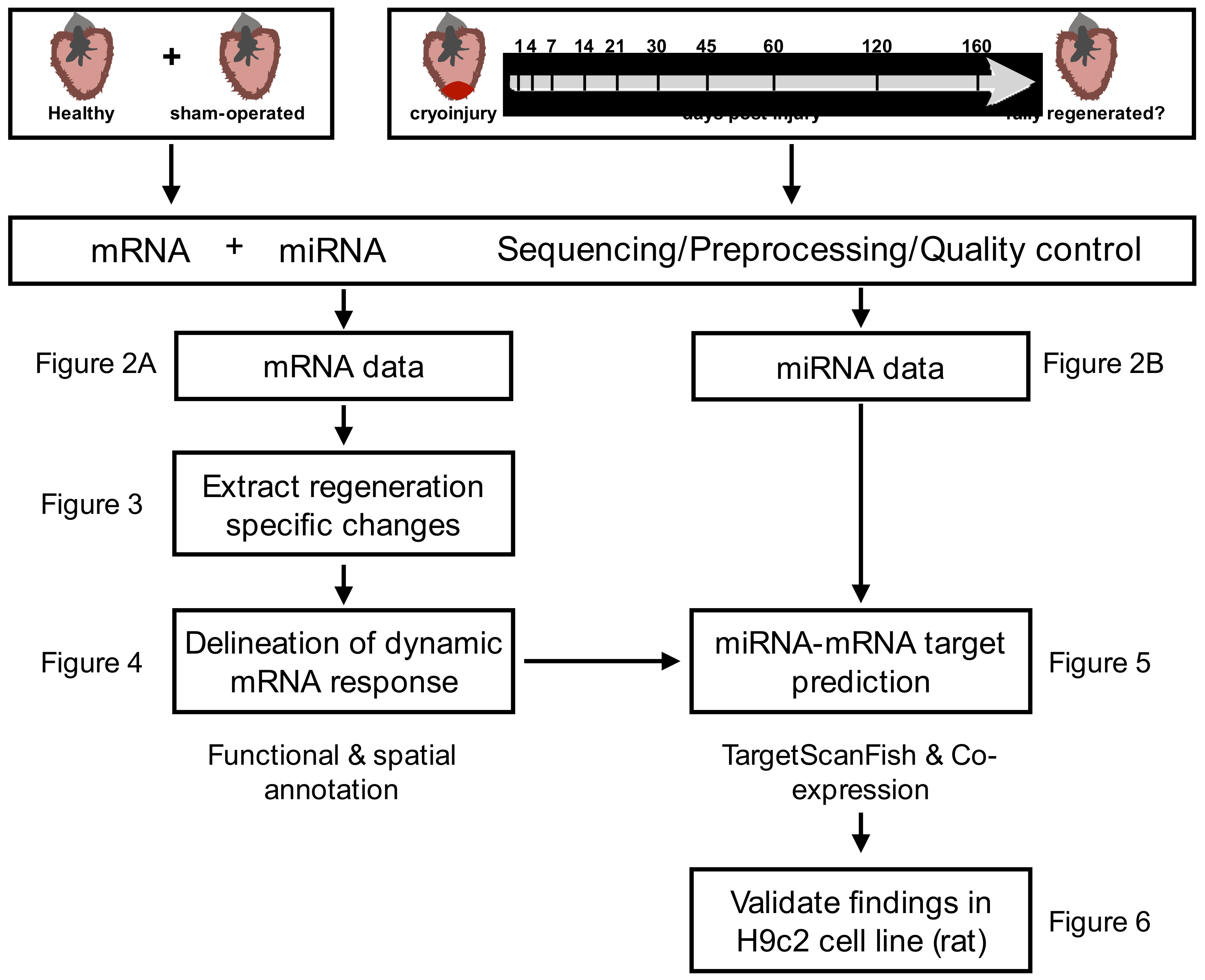 Biomolecules 09 00011 g001 Biomolecules 09 00011 g001