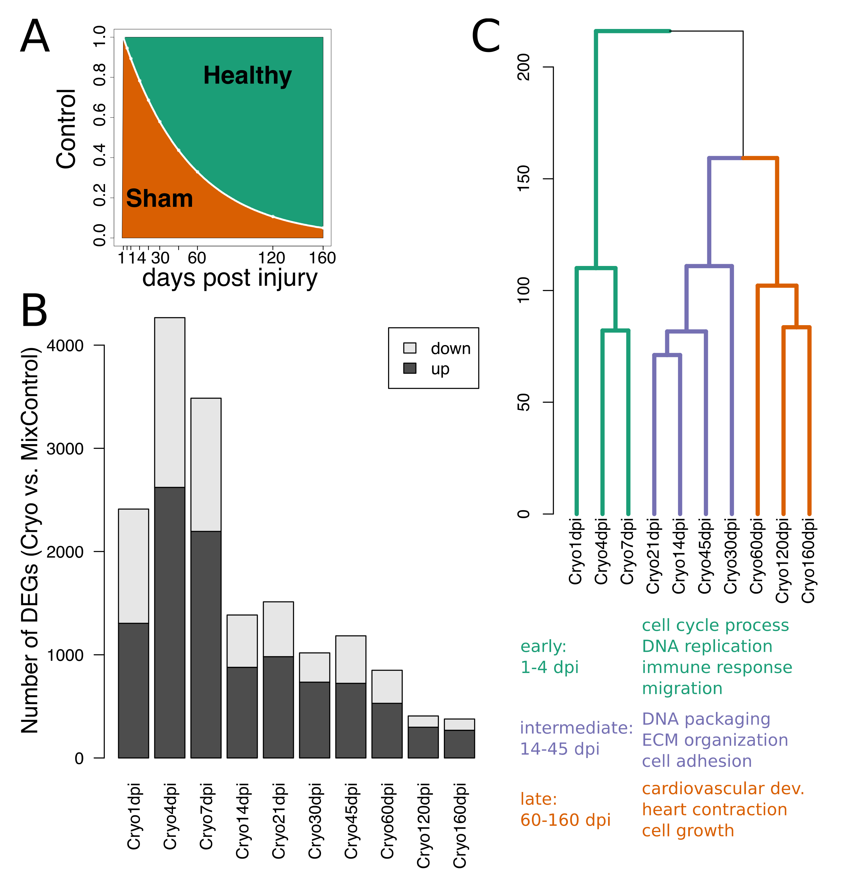 Biomolecules 09 00011 g003 Biomolecules 09 00011 g003
