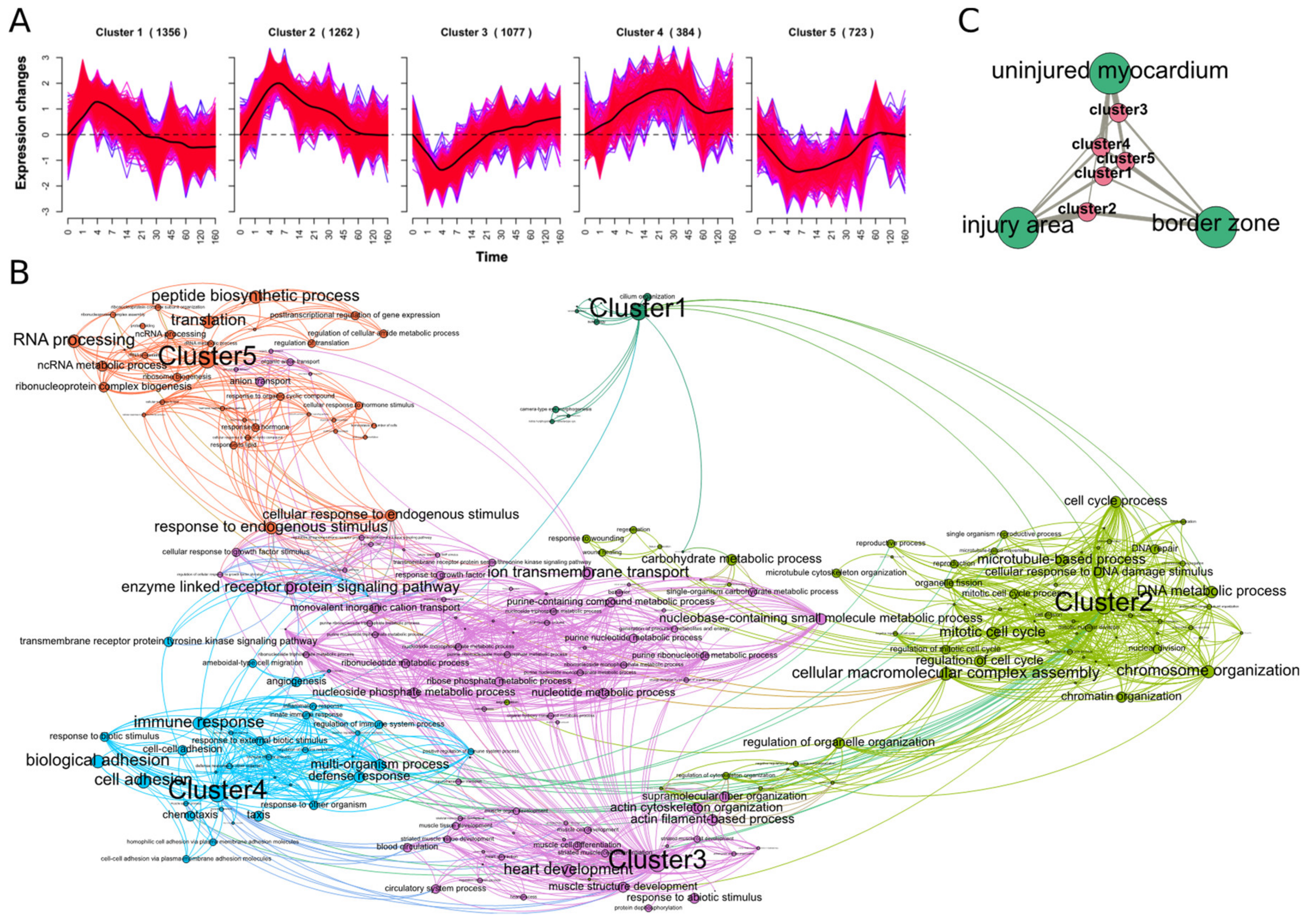 Biomolecules 09 00011 g004 Biomolecules 09 00011 g004