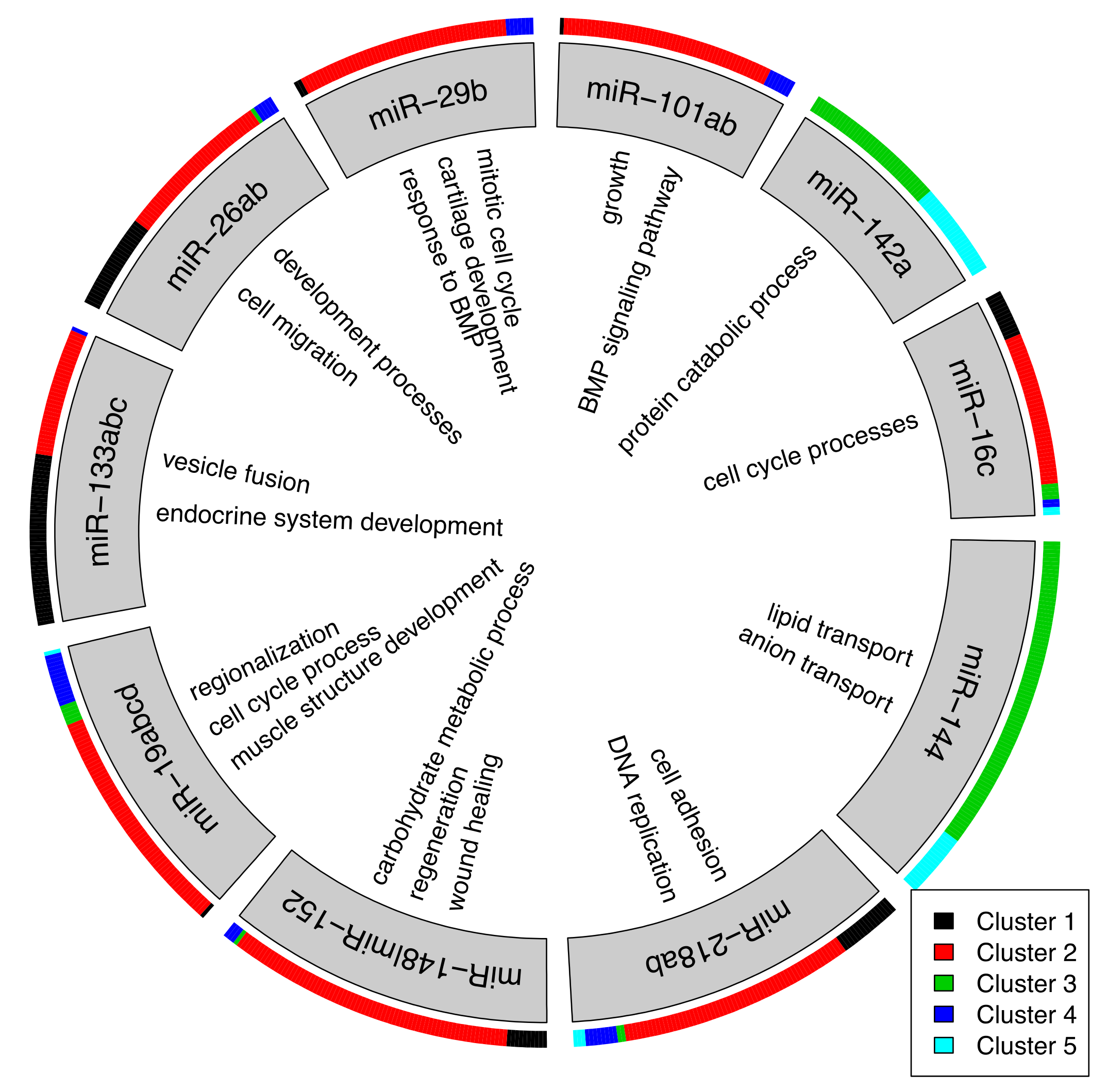 Biomolecules 09 00011 g005 Biomolecules 09 00011 g005