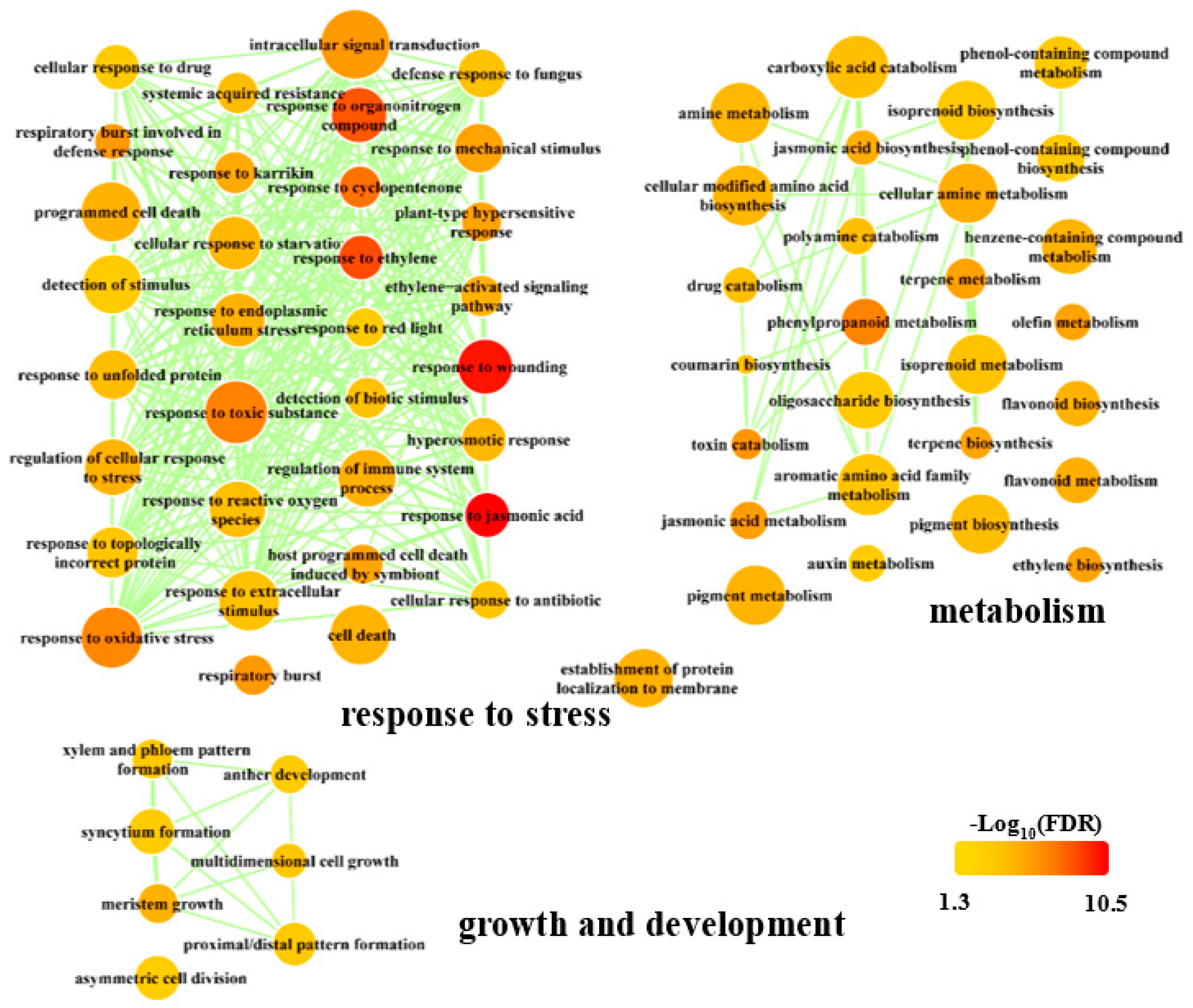 Biomolecules 09 00012 g002 Biomolecules 09 00012 g002