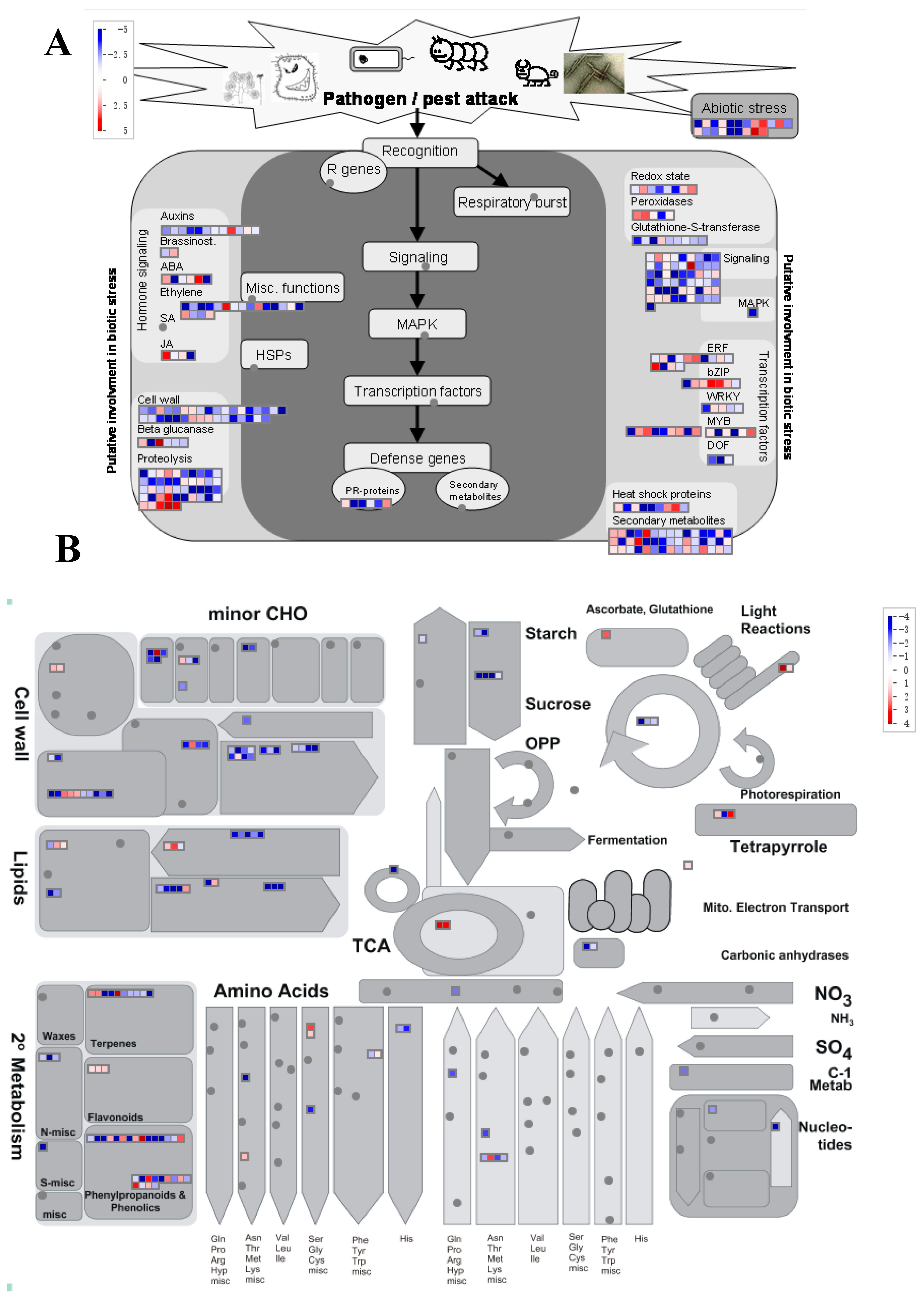 Biomolecules 09 00012 g004 Biomolecules 09 00012 g004