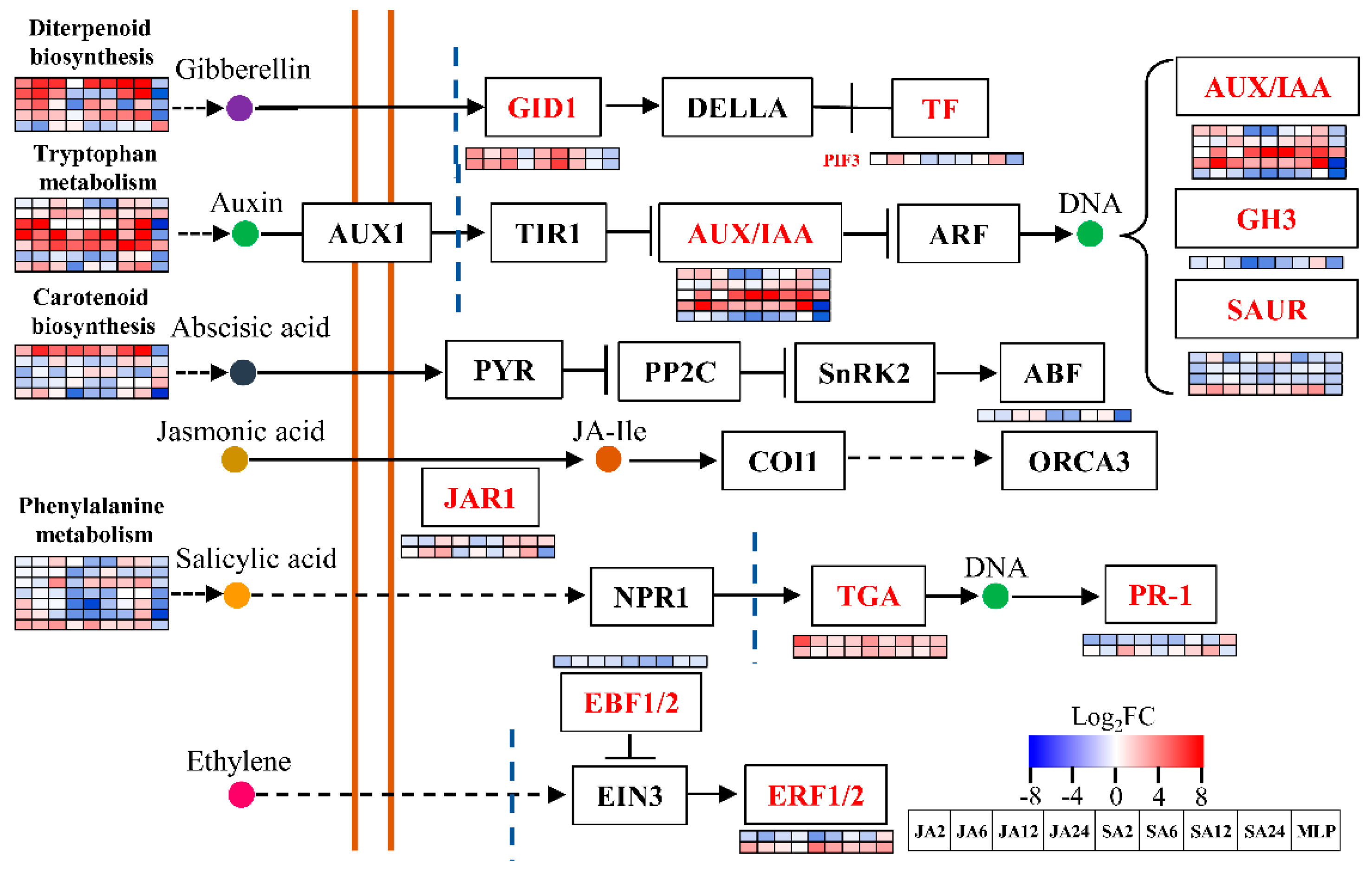 Biomolecules 09 00012 g005 Biomolecules 09 00012 g005