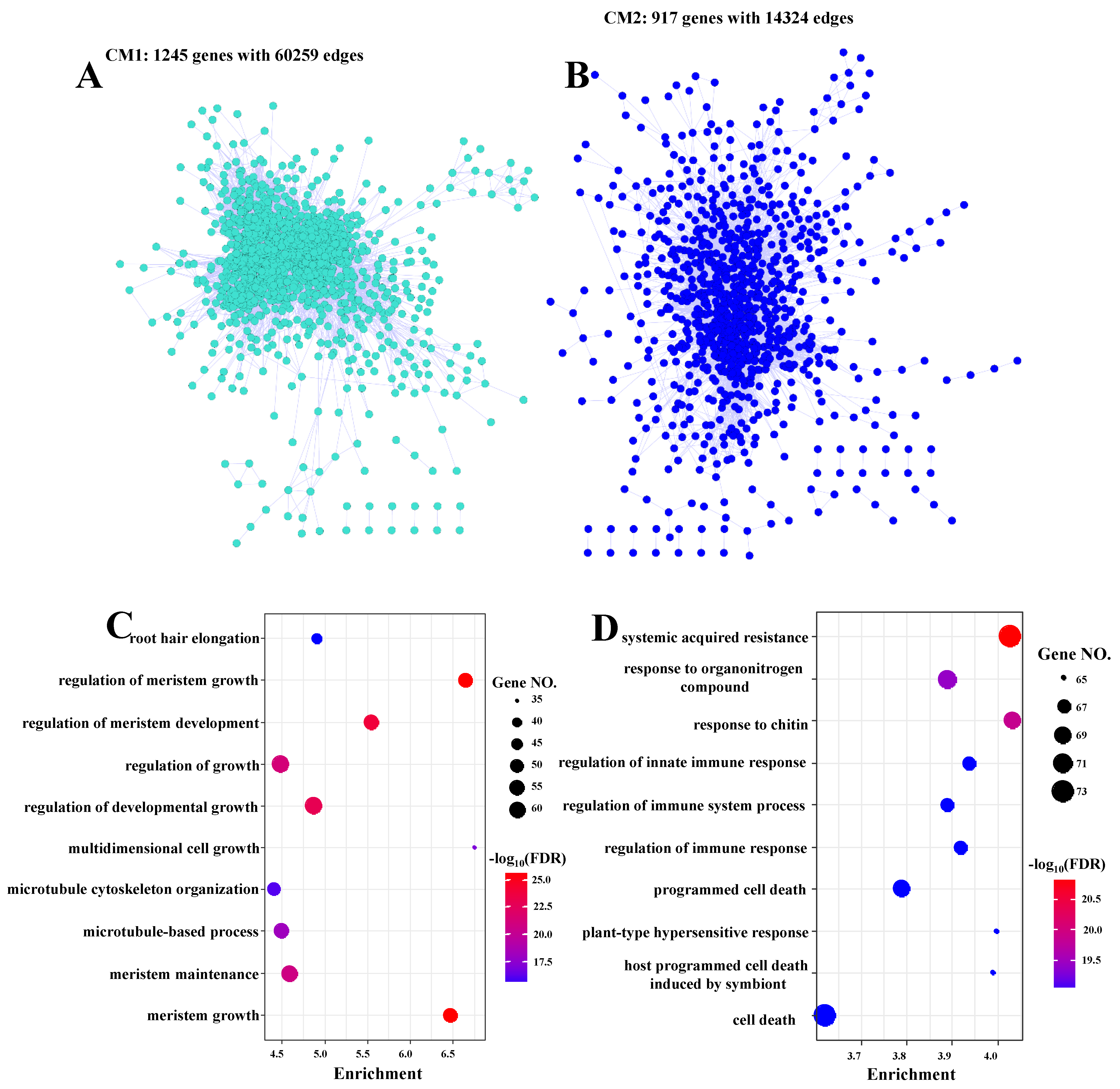 Biomolecules 09 00012 g006 Biomolecules 09 00012 g006