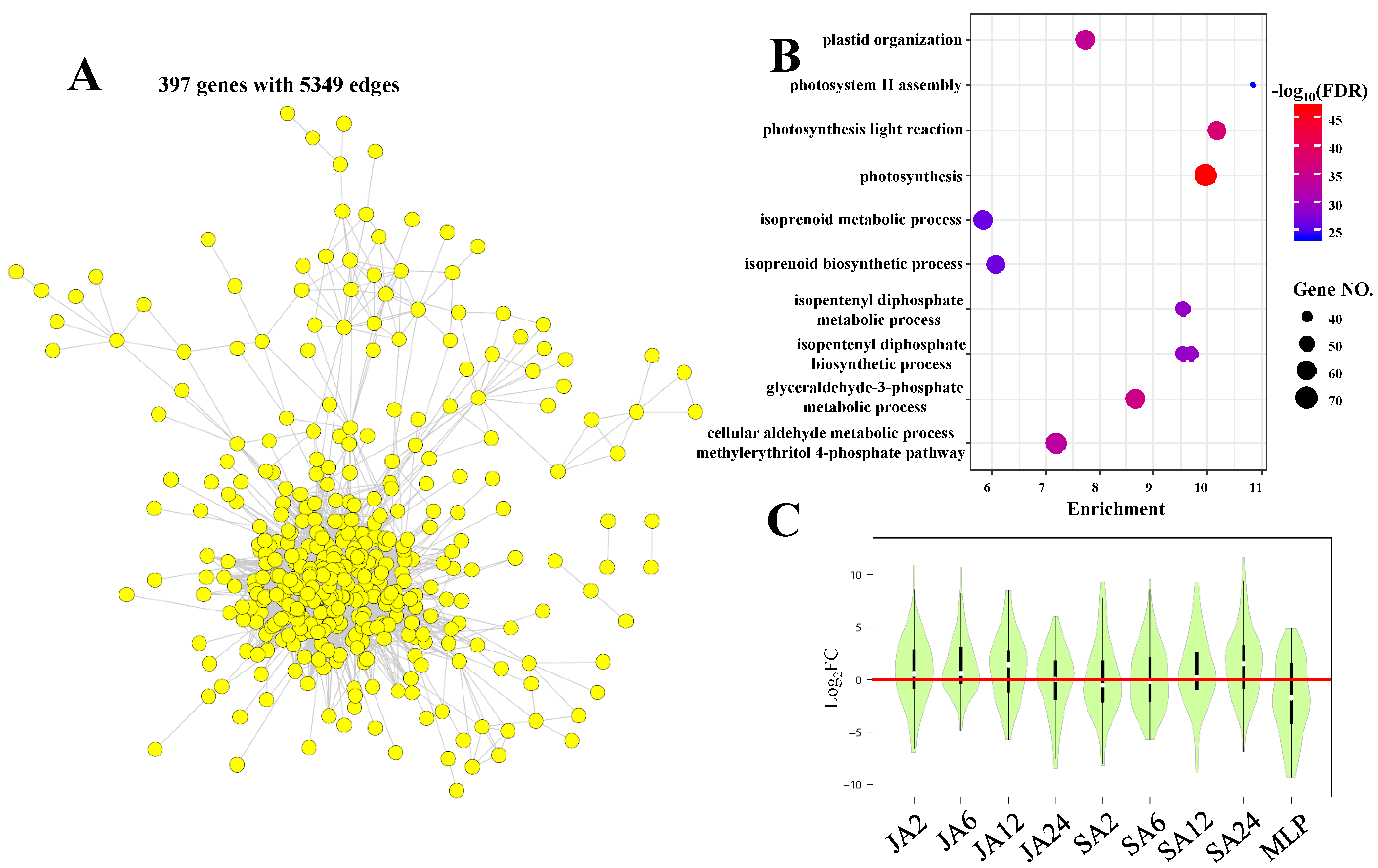 Biomolecules 09 00012 g008 Biomolecules 09 00012 g008
