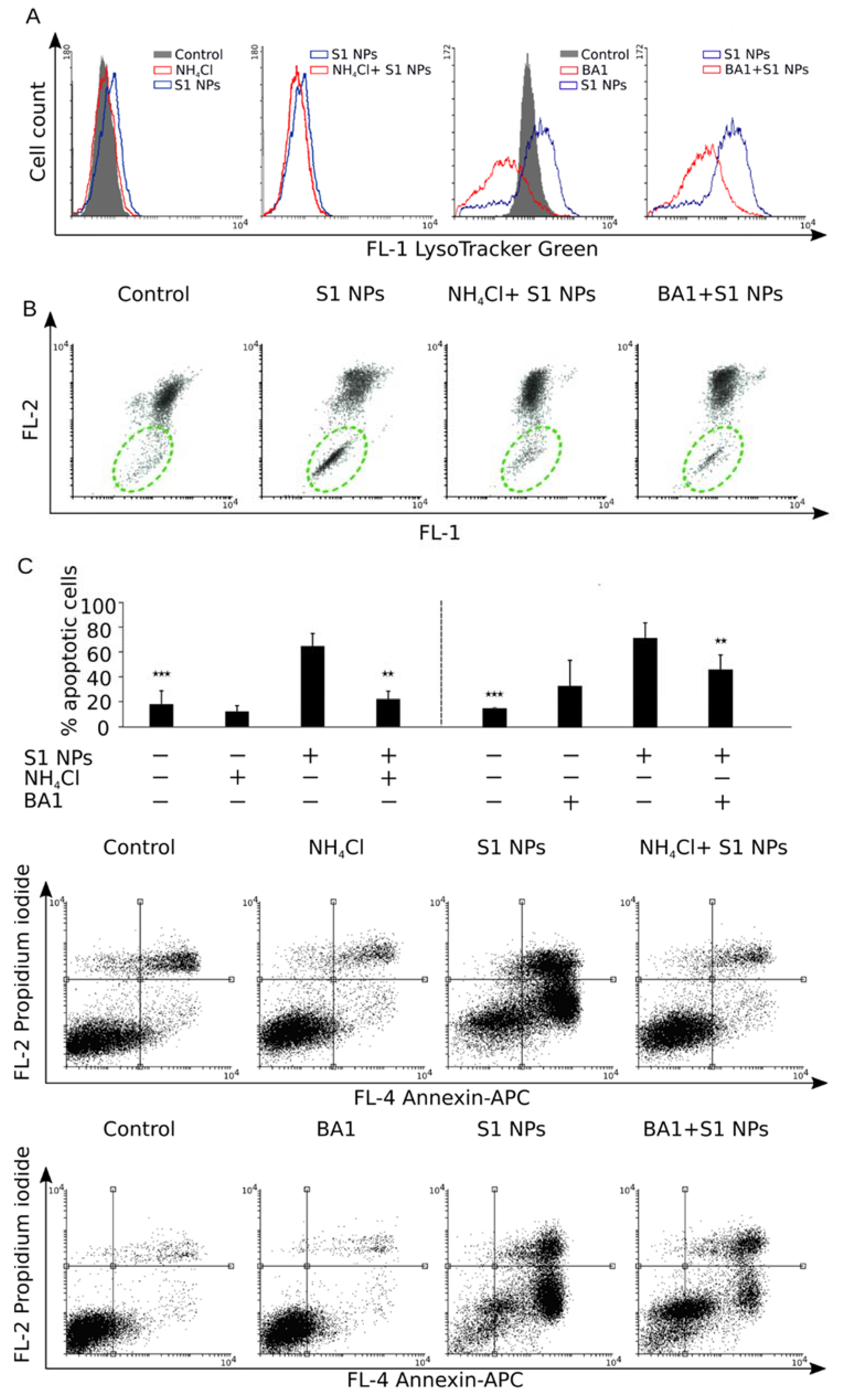 Biomolecules 09 00014 g009 Biomolecules 09 00014 g009