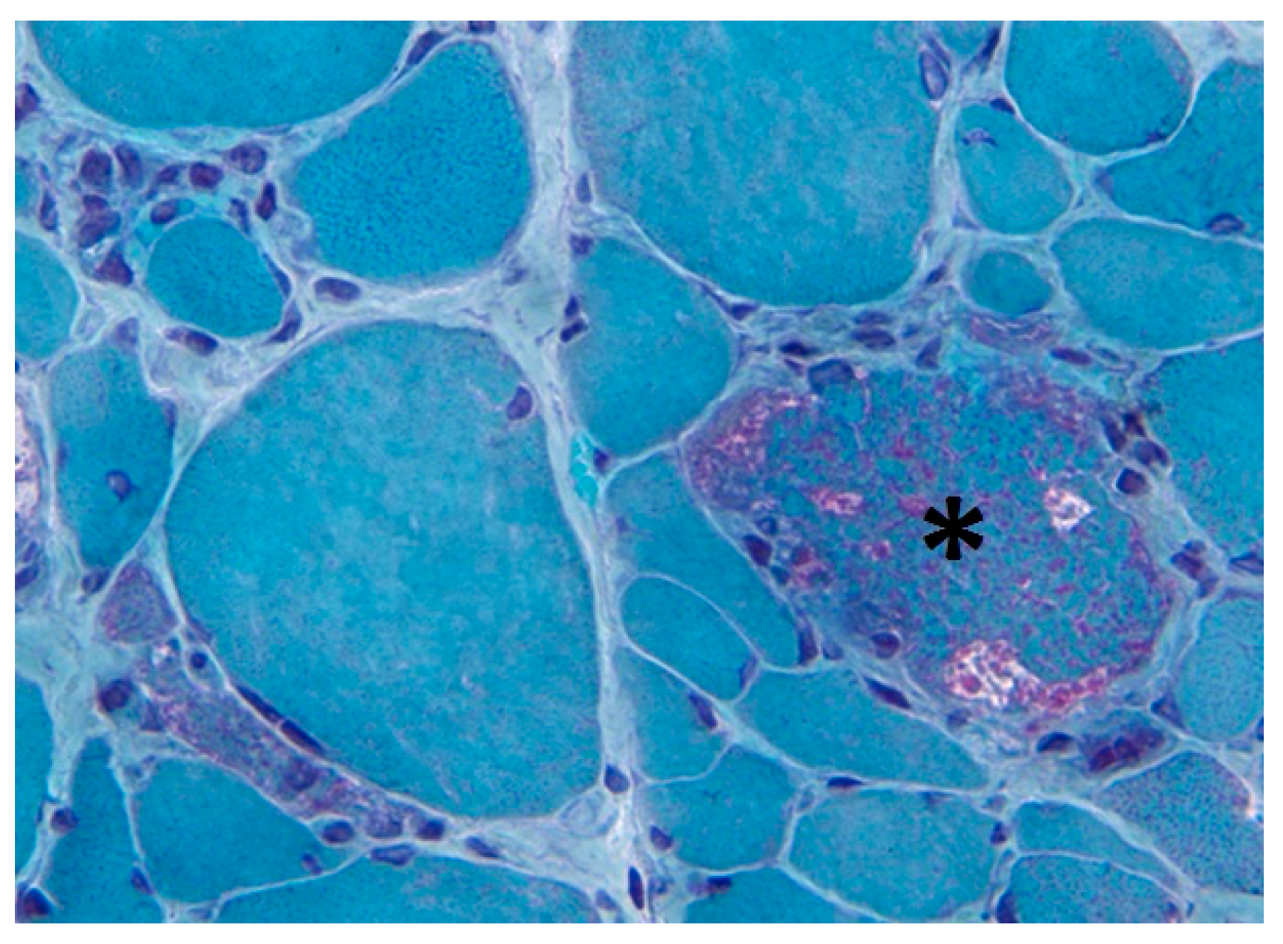 Biomolecules 09 00015 g002 Biomolecules 09 00015 g002