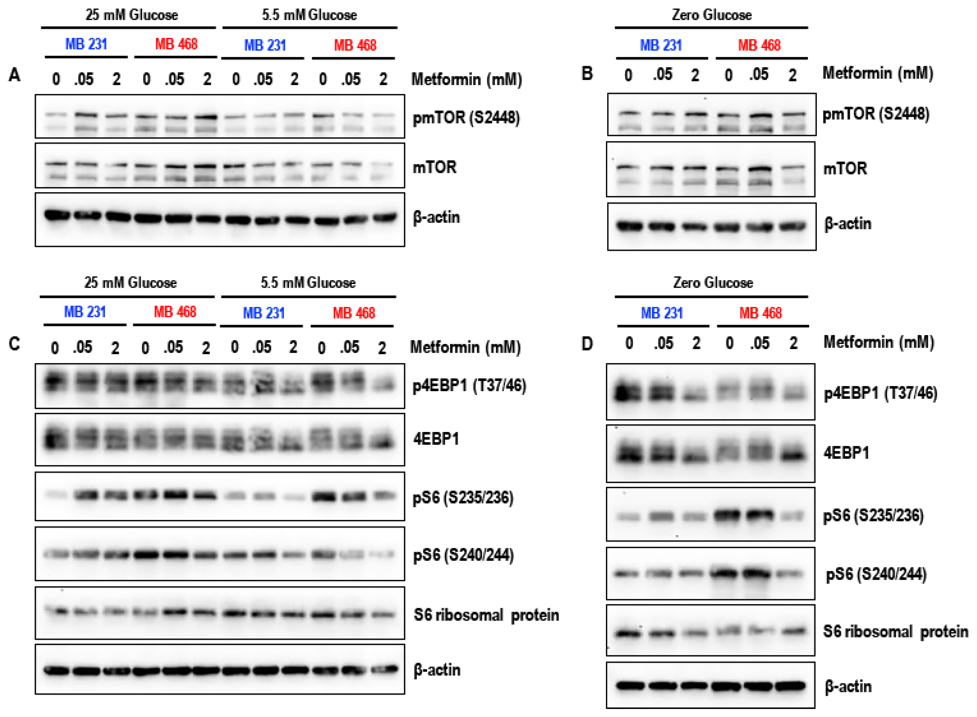 Biomolecules 09 00016 g005