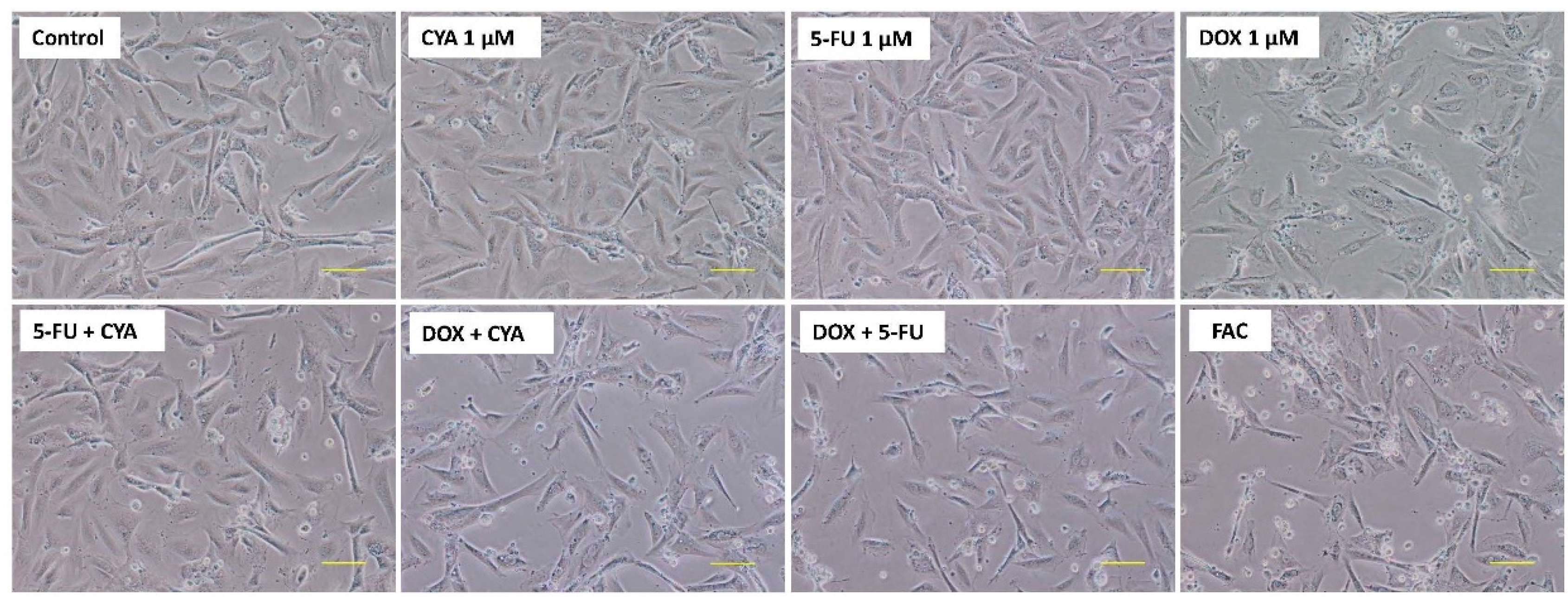 Biomolecules 09 00021 g005 Biomolecules 09 00021 g005