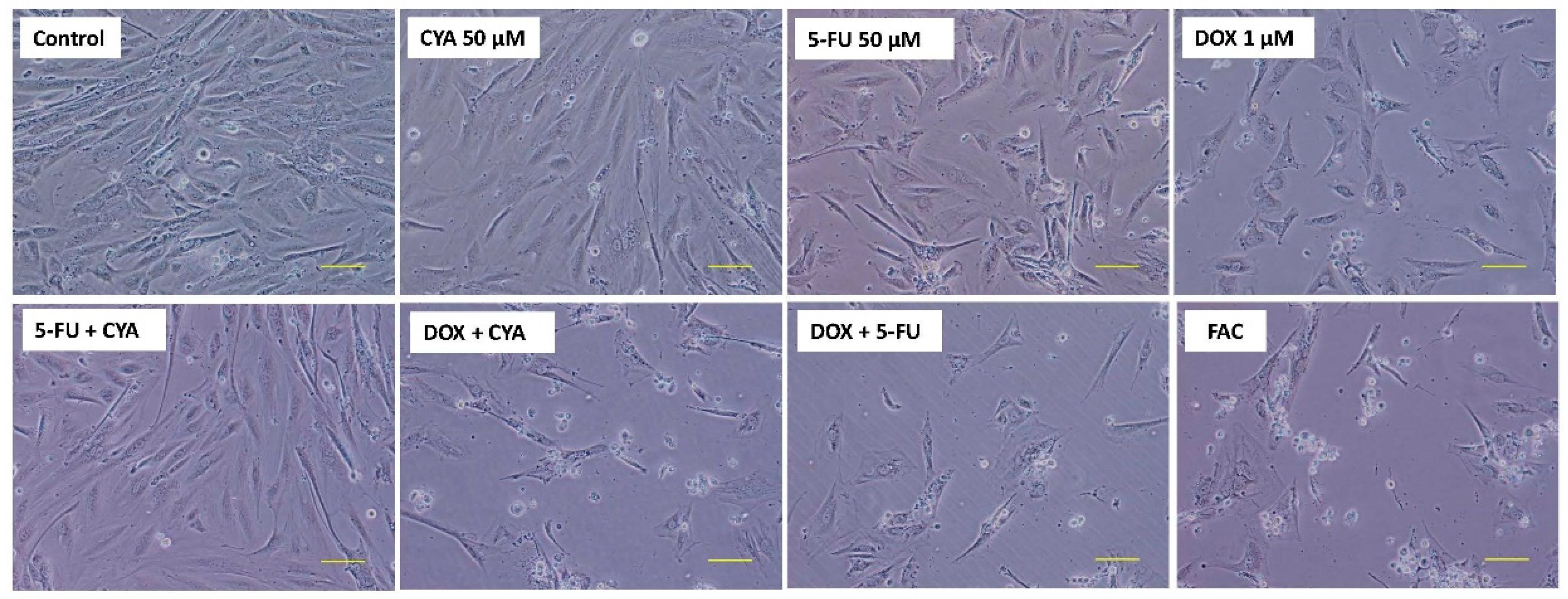 Biomolecules 09 00021 g008 Biomolecules 09 00021 g008