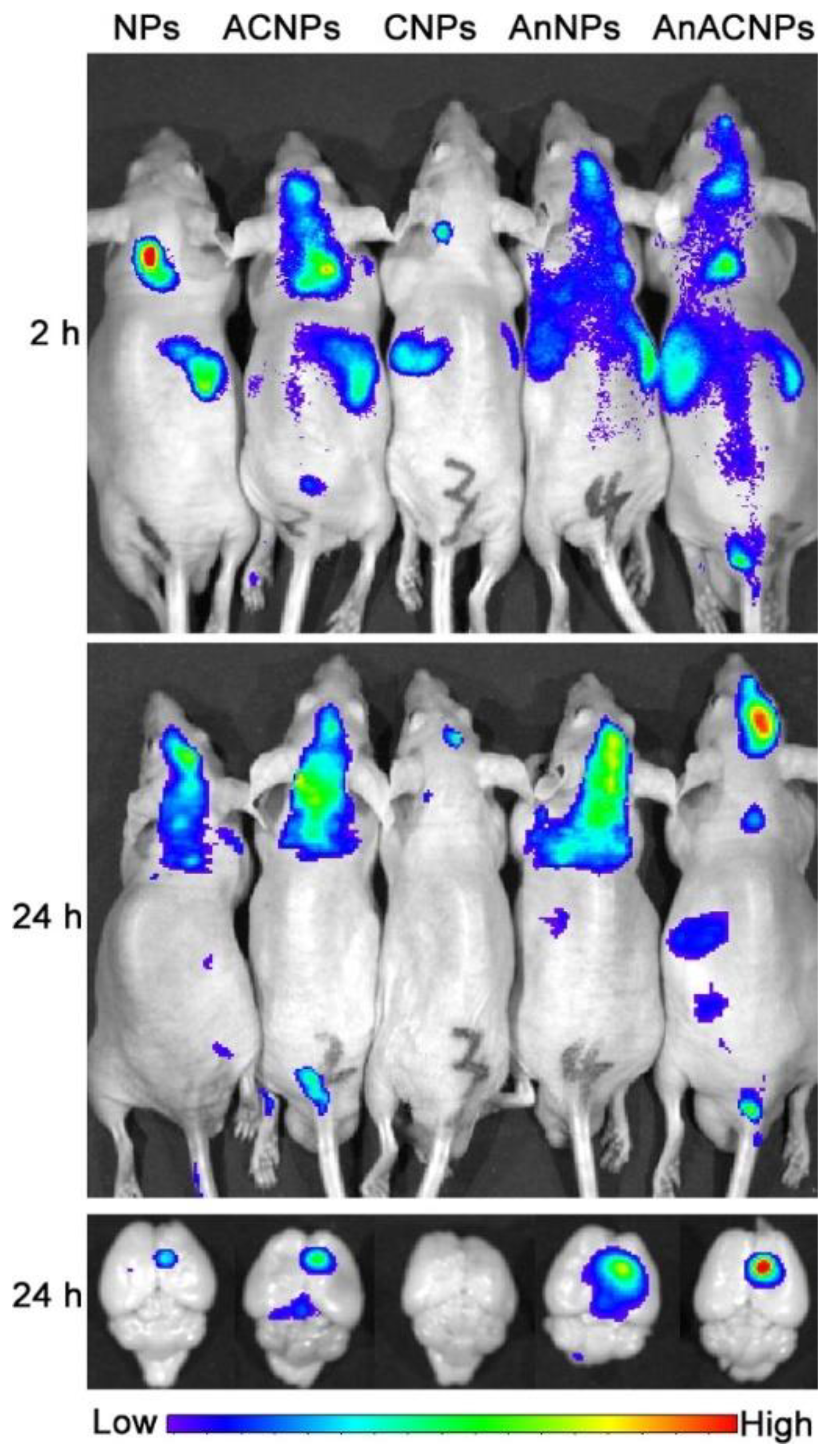 Biomolecules 09 00022 g003 Biomolecules 09 00022 g003