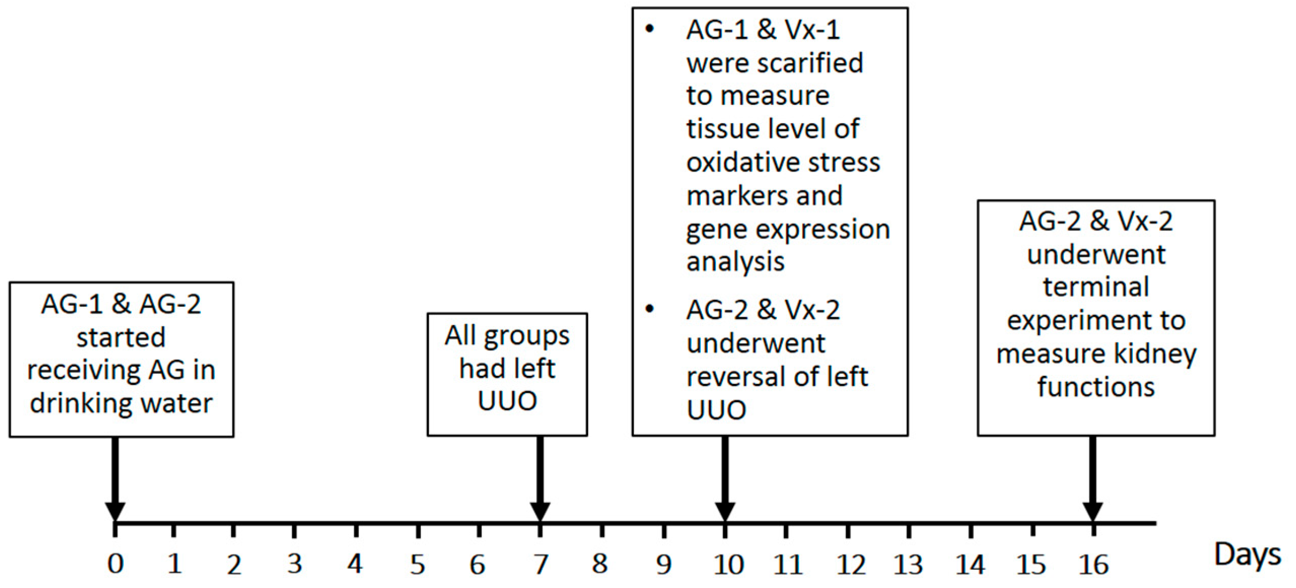 Biomolecules 09 00025 g001