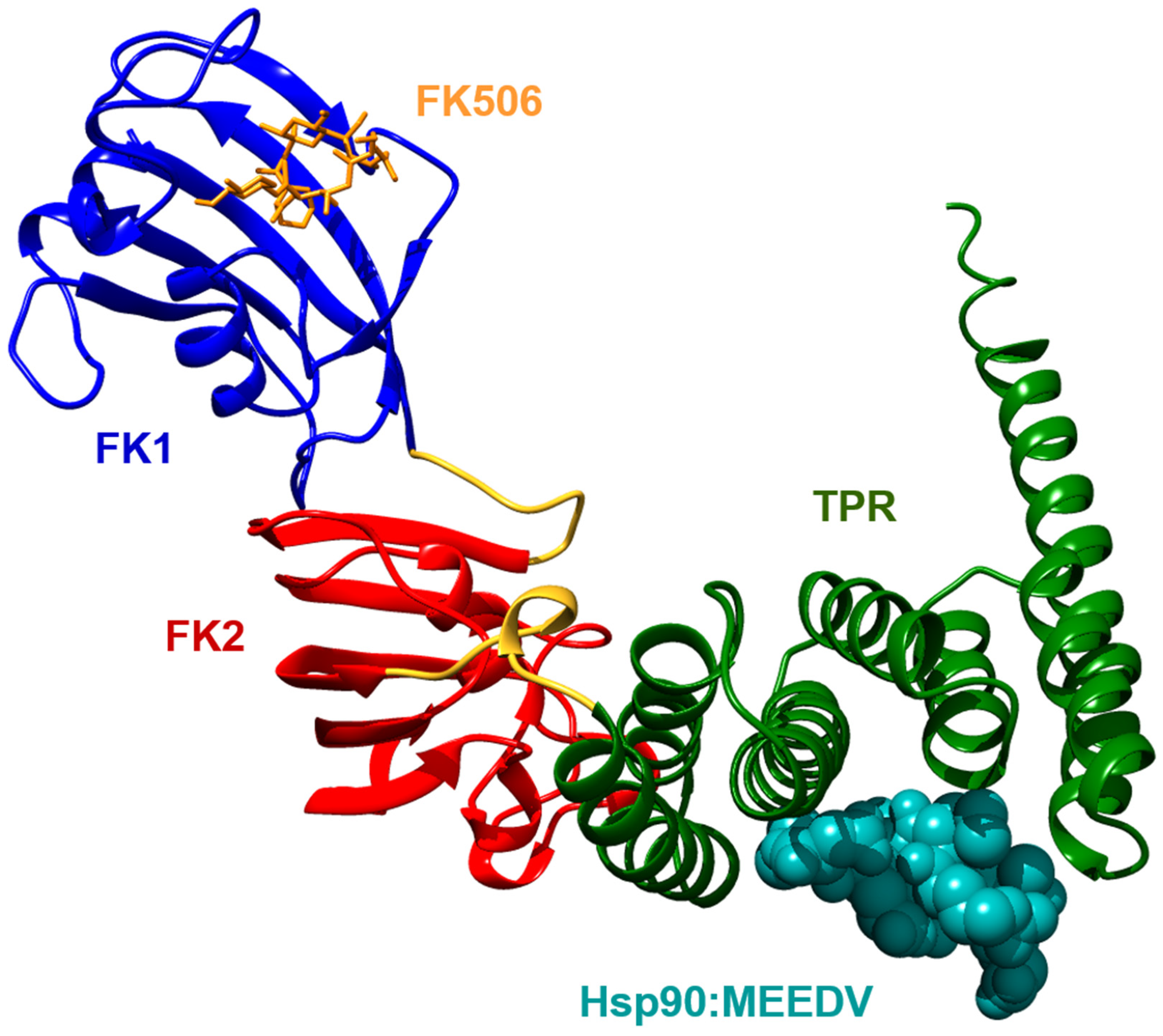 Biomolecules 09 00035 g001 Biomolecules 09 00035 g001
