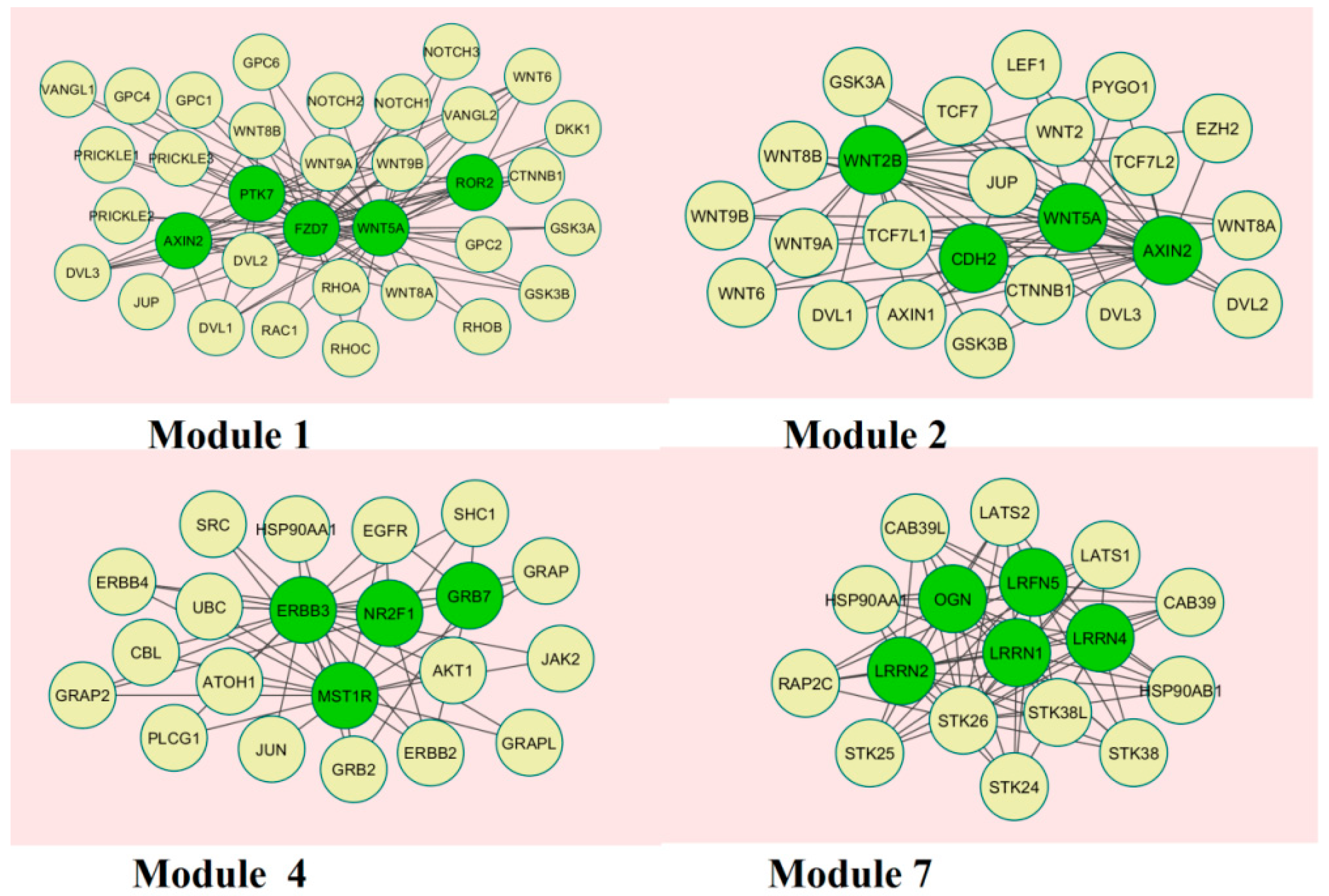 Biomolecules 09 00037 g010