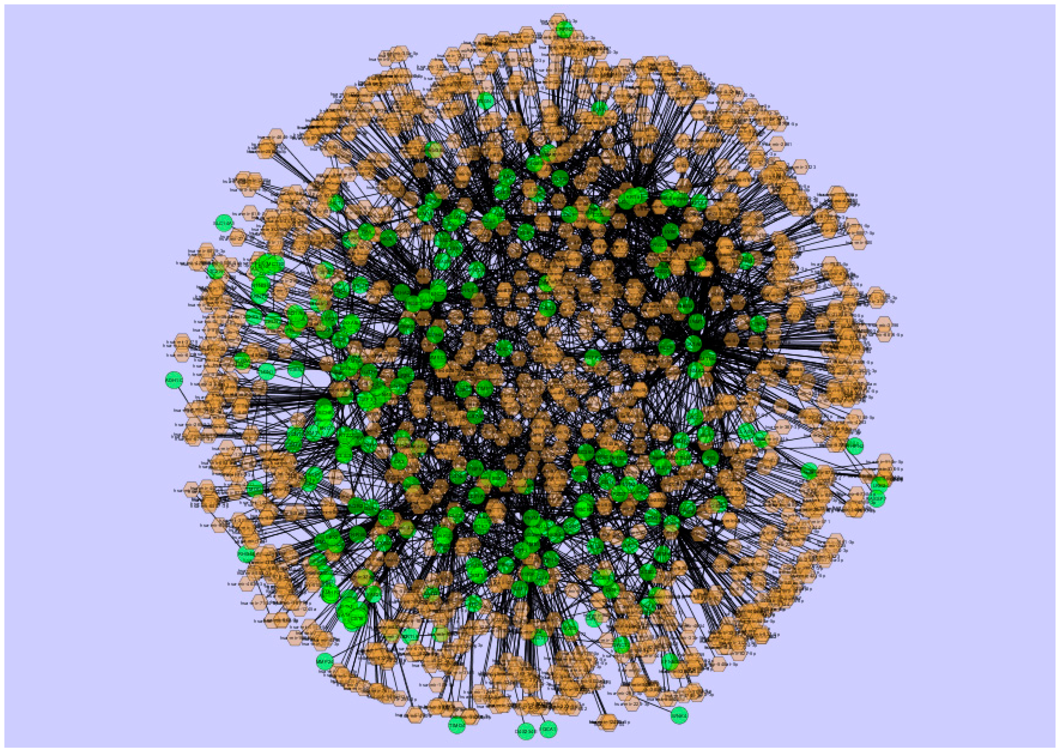Biomolecules 09 00037 g012