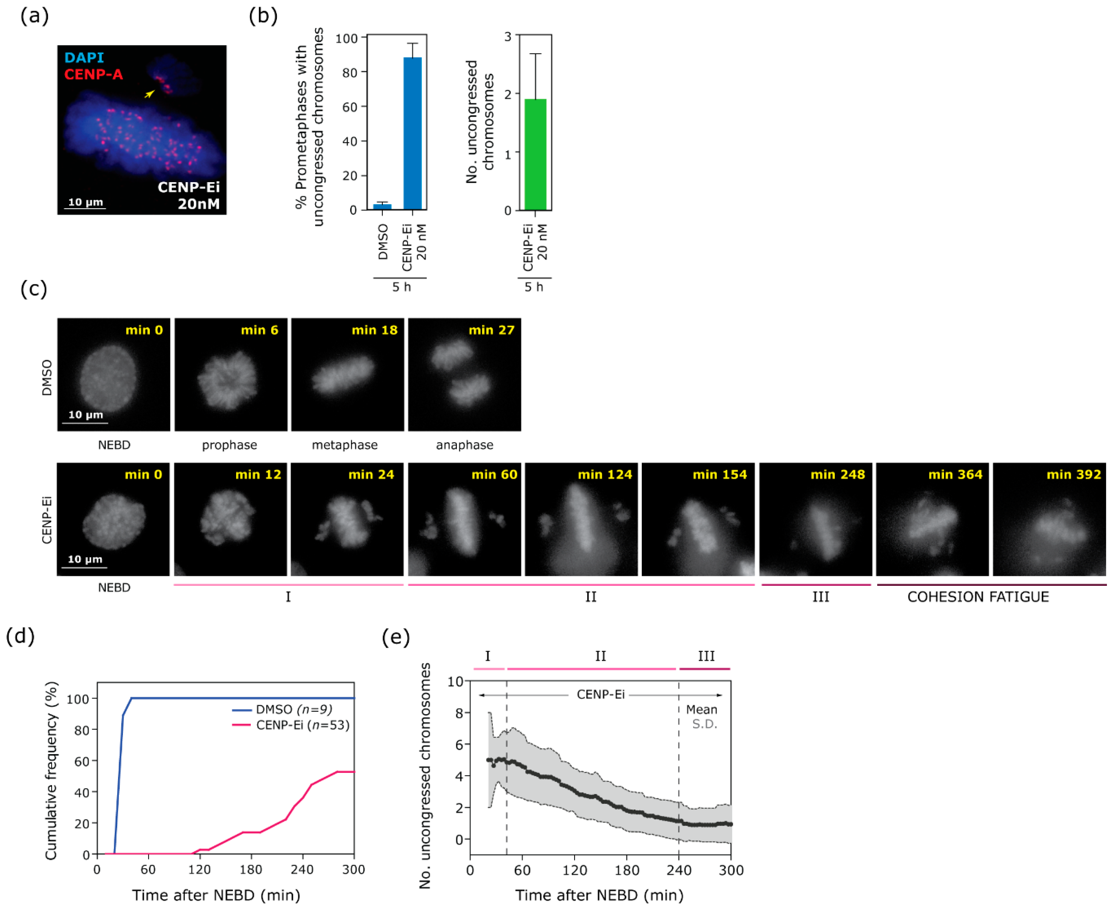 Biomolecules 09 00044 g001 Biomolecules 09 00044 g001