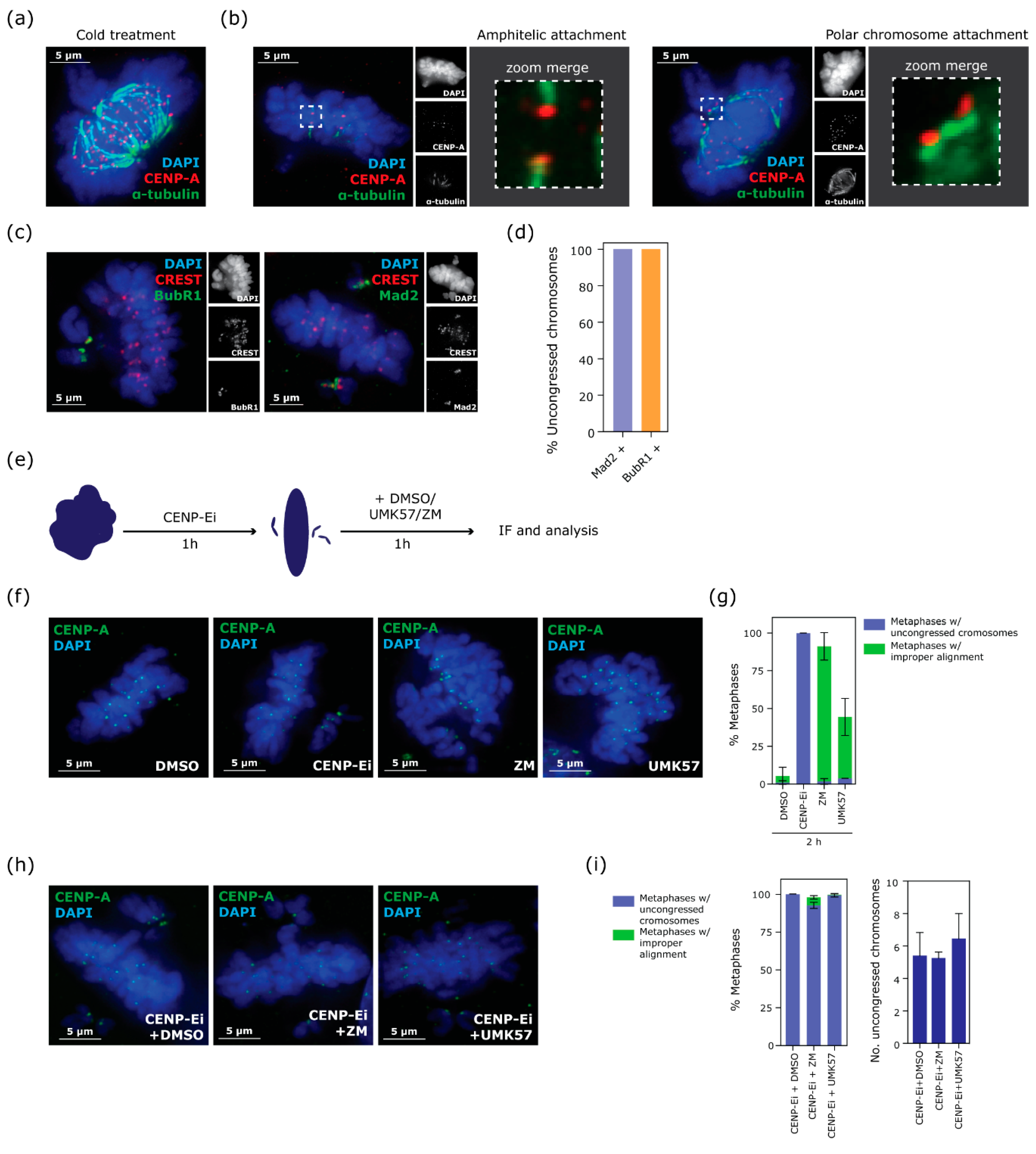 Biomolecules 09 00044 g003 Biomolecules 09 00044 g003