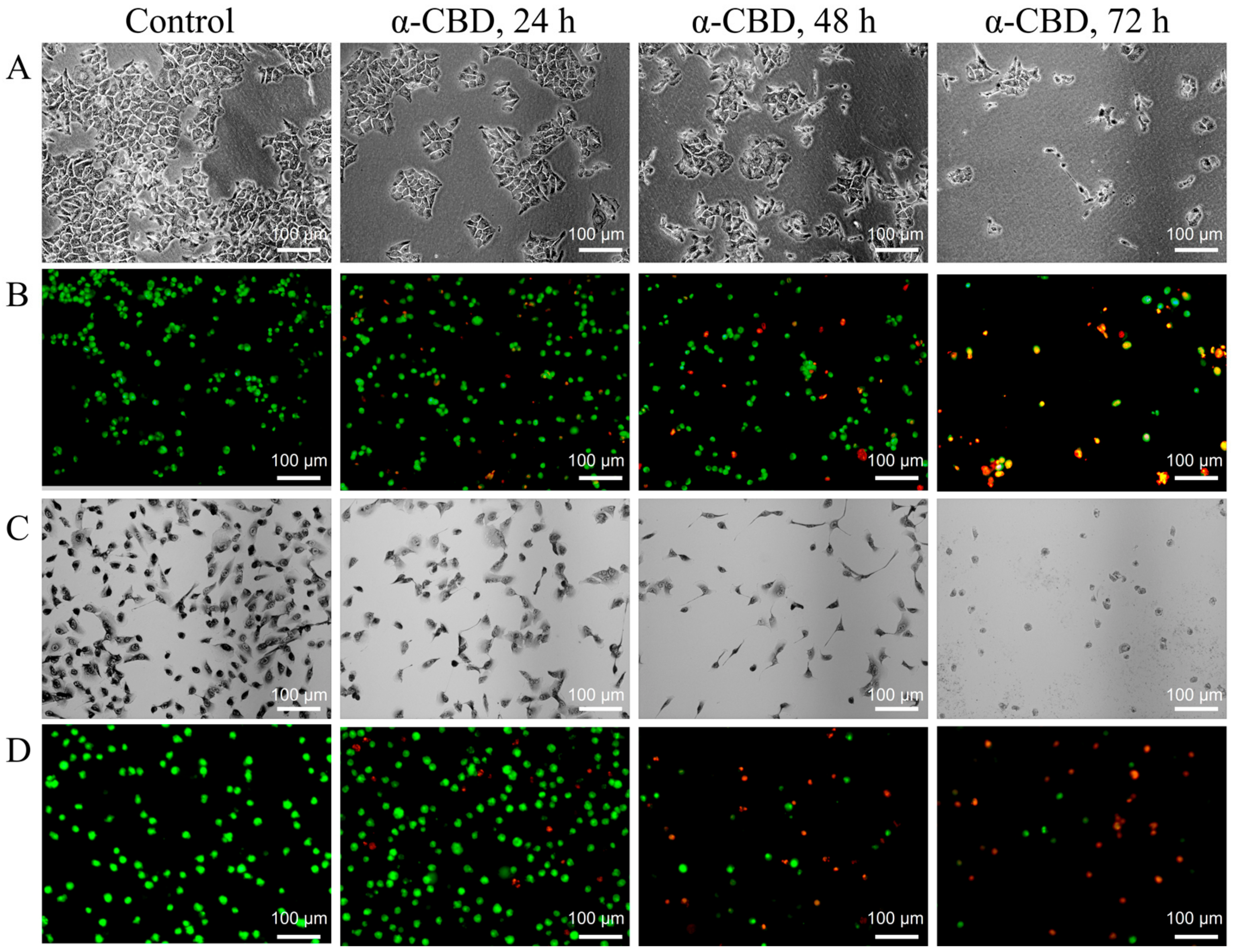 Biomolecules 09 00045 g003 550