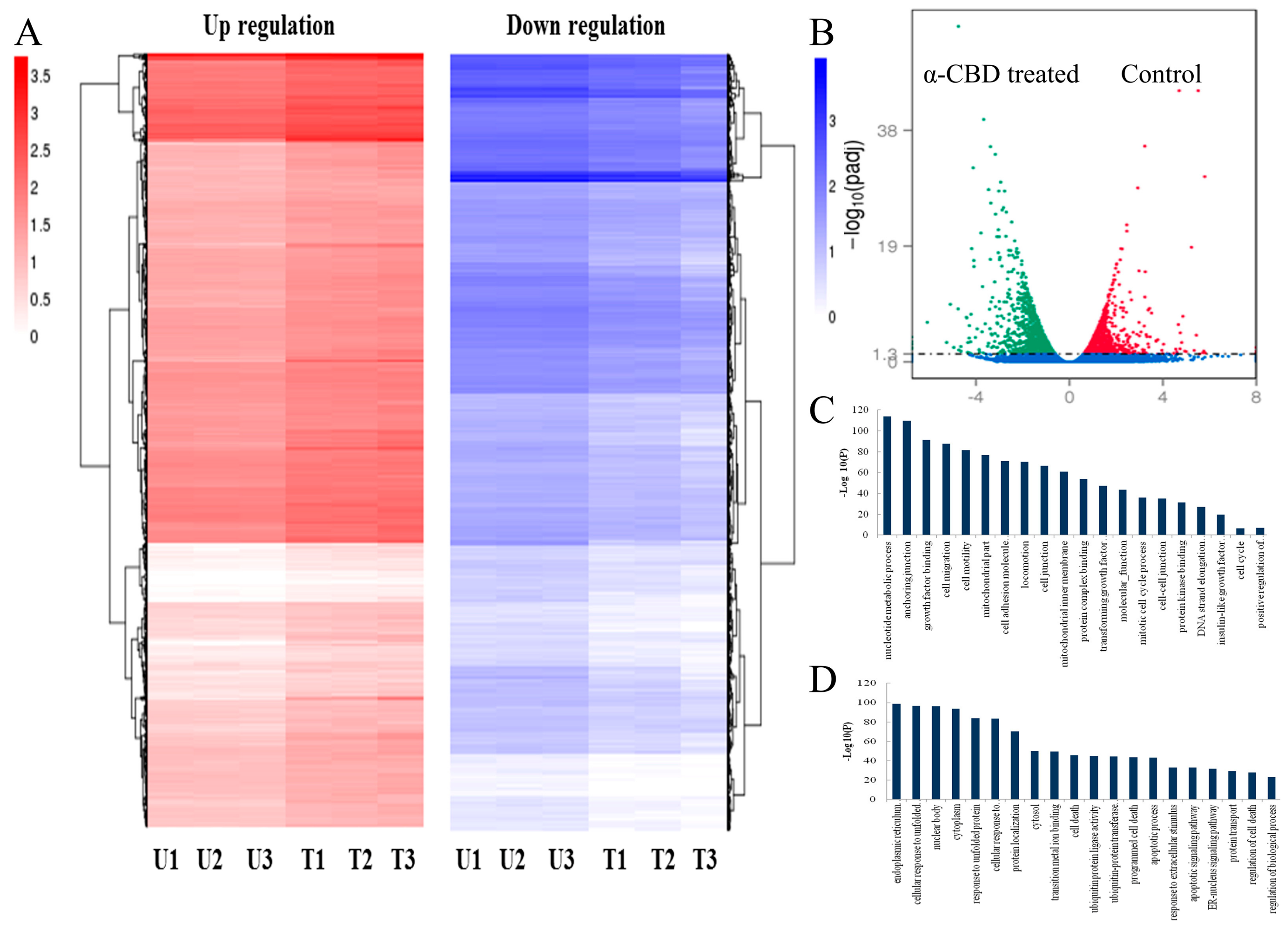 Biomolecules 09 00045 g005 550