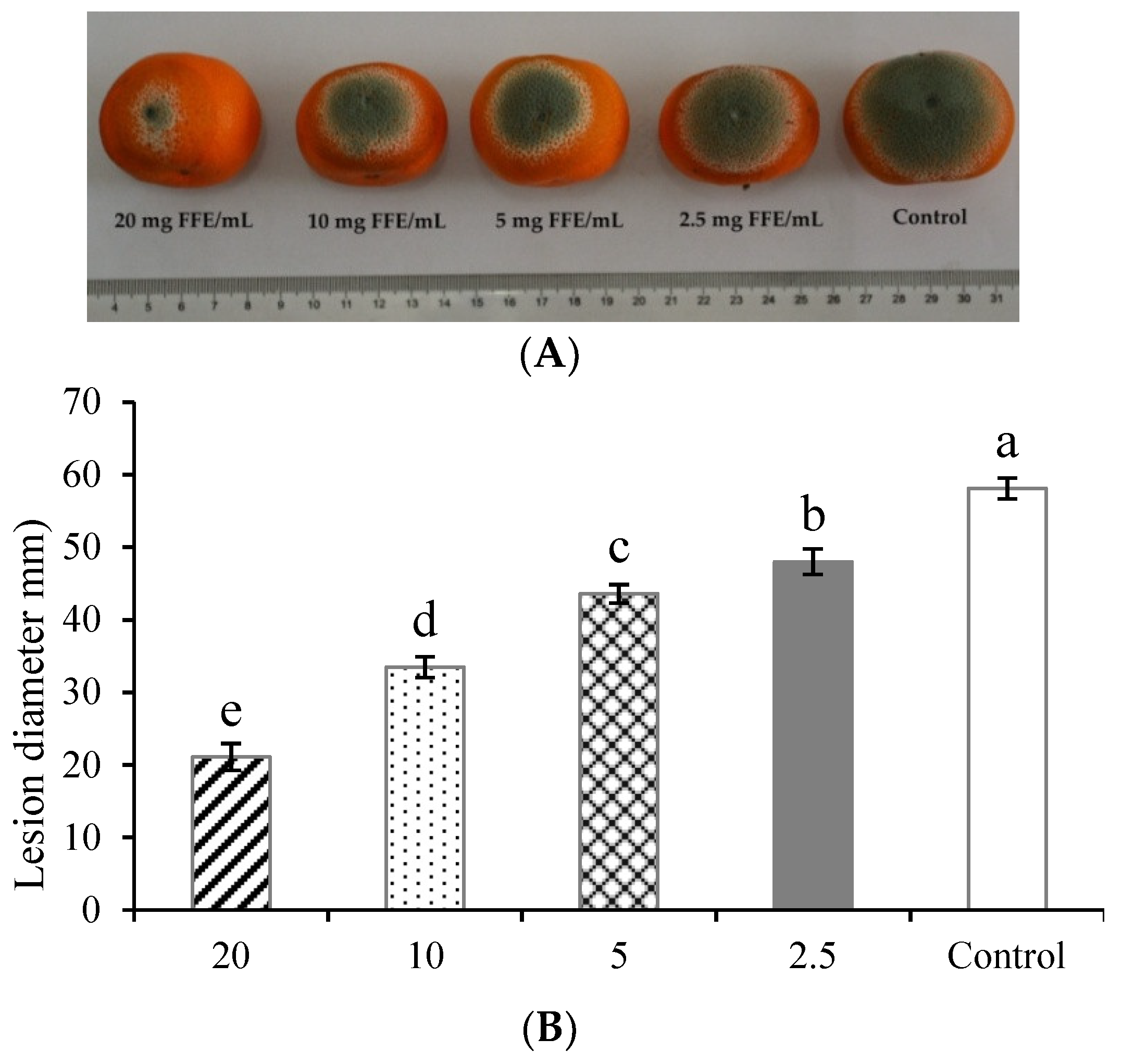 Biomolecules Free Full Text Preservation Of Xinyu Tangerines With An Edible Coating Using Ficus Hirta Vahl Fruits Extract Incorporated Chitosan Html