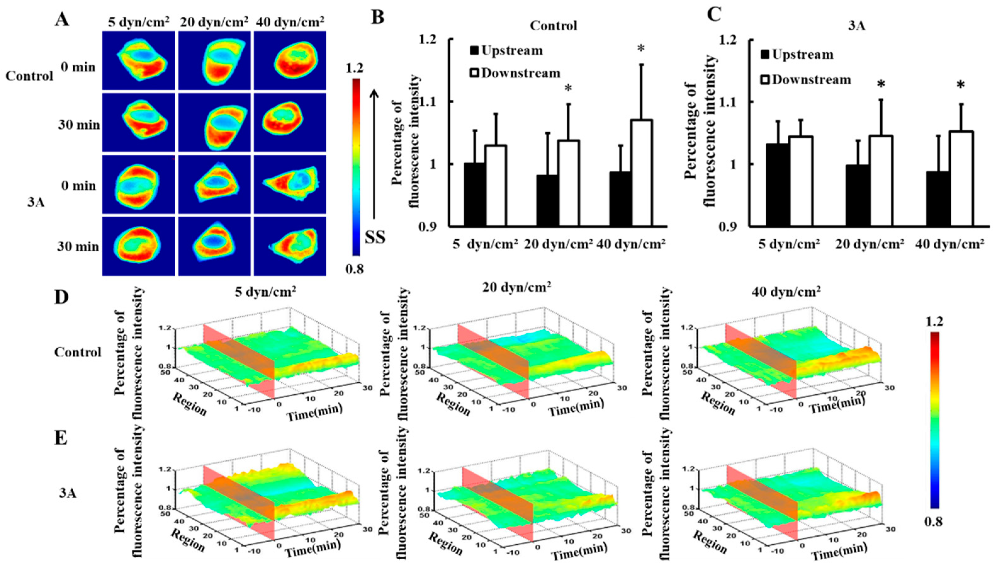 Biomolecules 09 00050 g001 Biomolecules 09 00050 g001