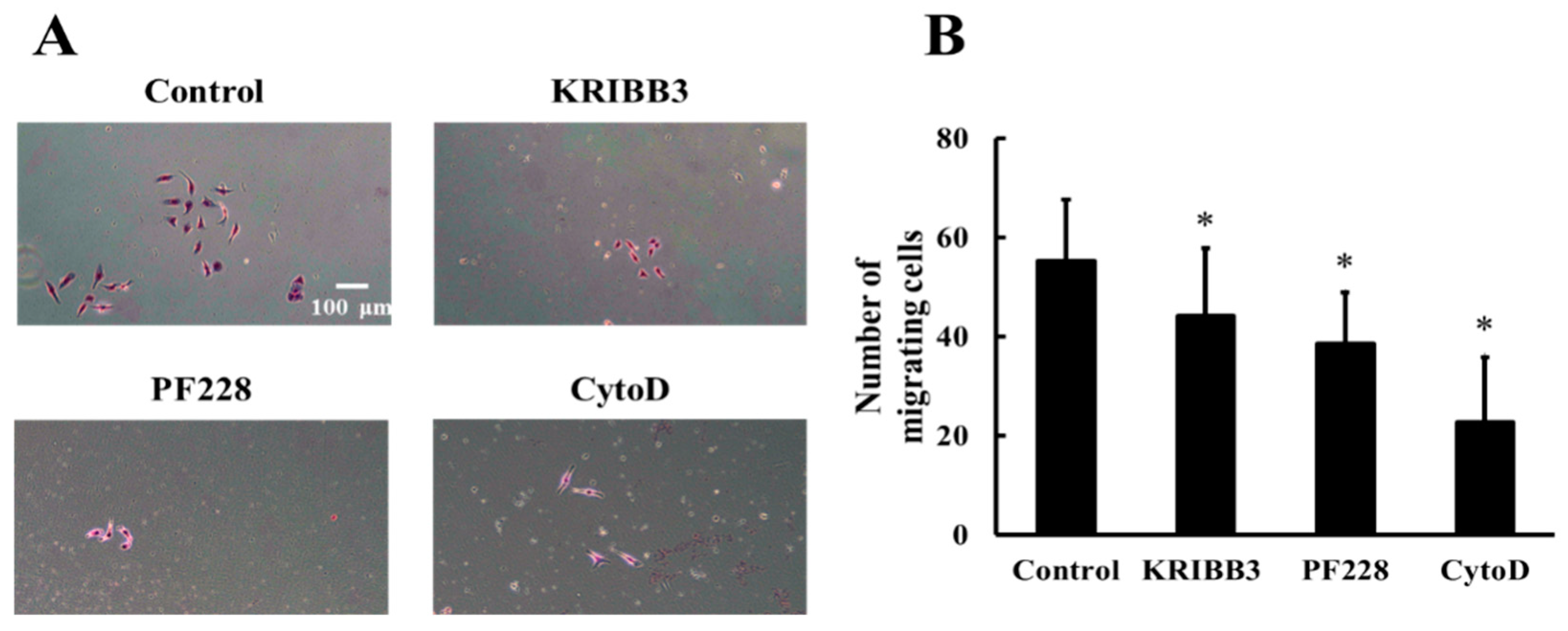 Biomolecules 09 00050 g007 Biomolecules 09 00050 g007