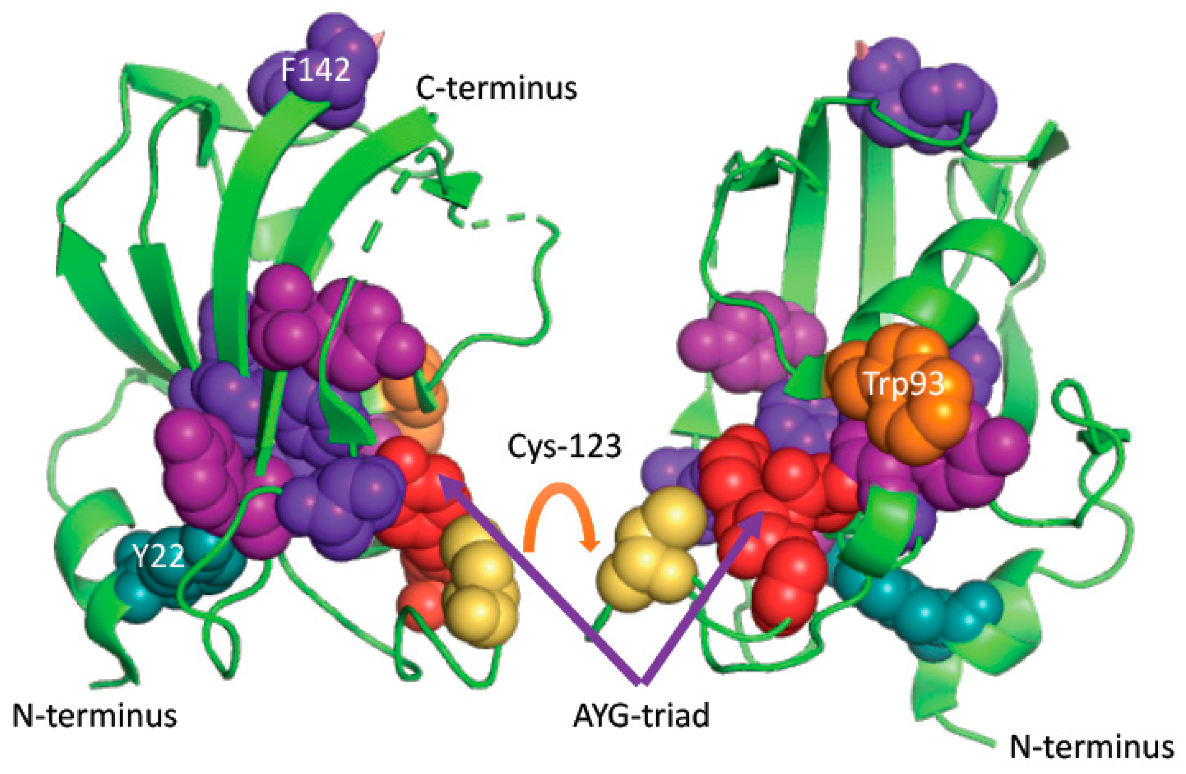 Biomolecules 09 00059 g004 550
