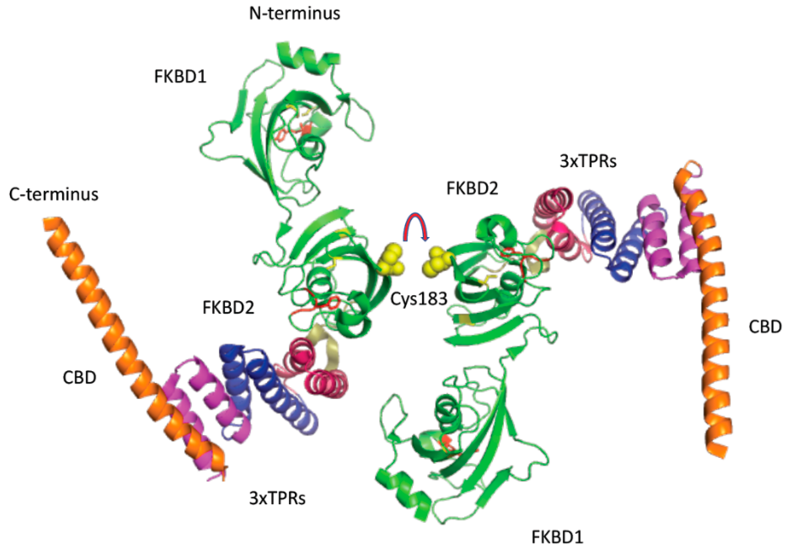 Biomolecules 09 00059 g005 550