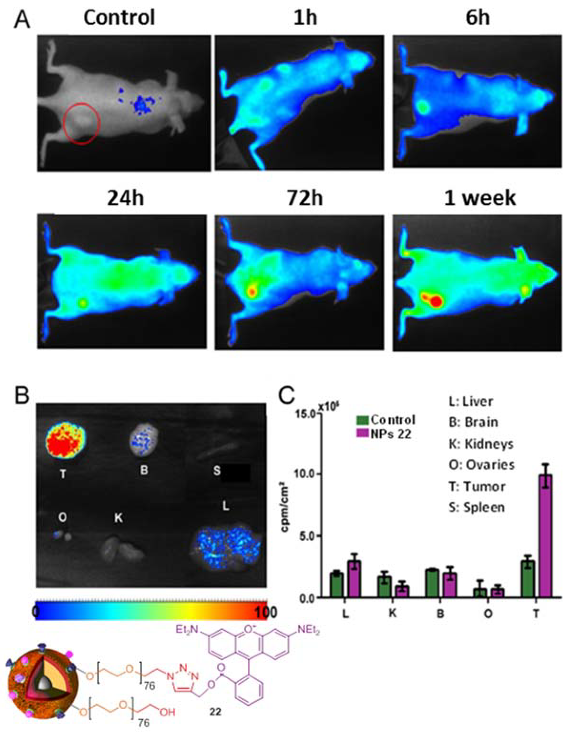 Biomolecules 09 00060 g003 550