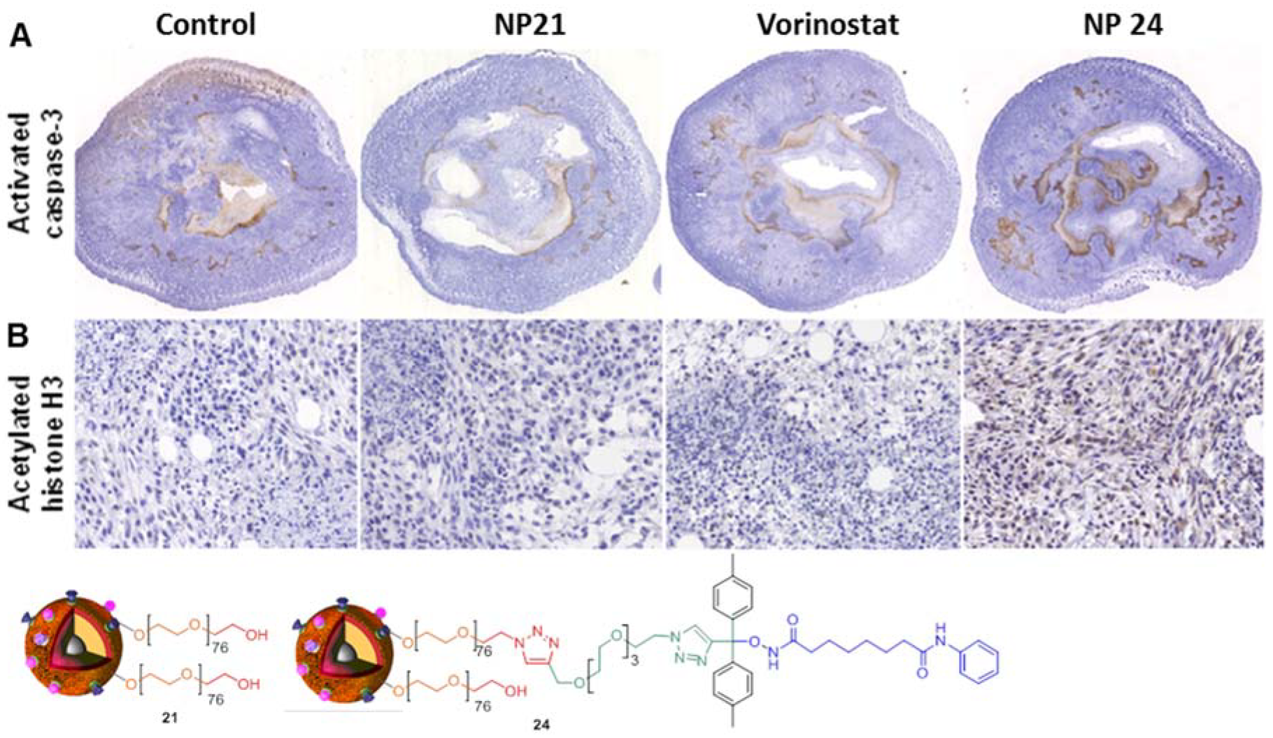 Biomolecules 09 00060 g005 550