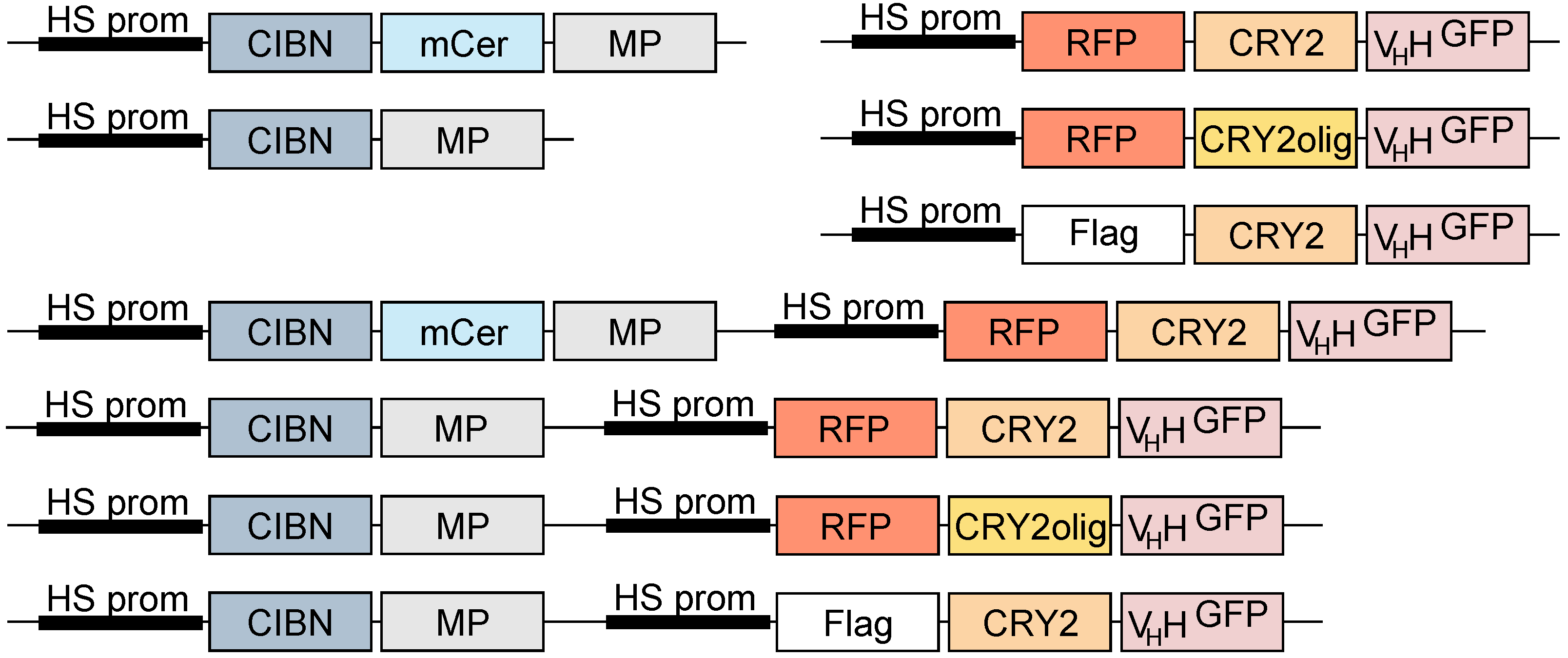 Biomolecules 09 00061 g002
