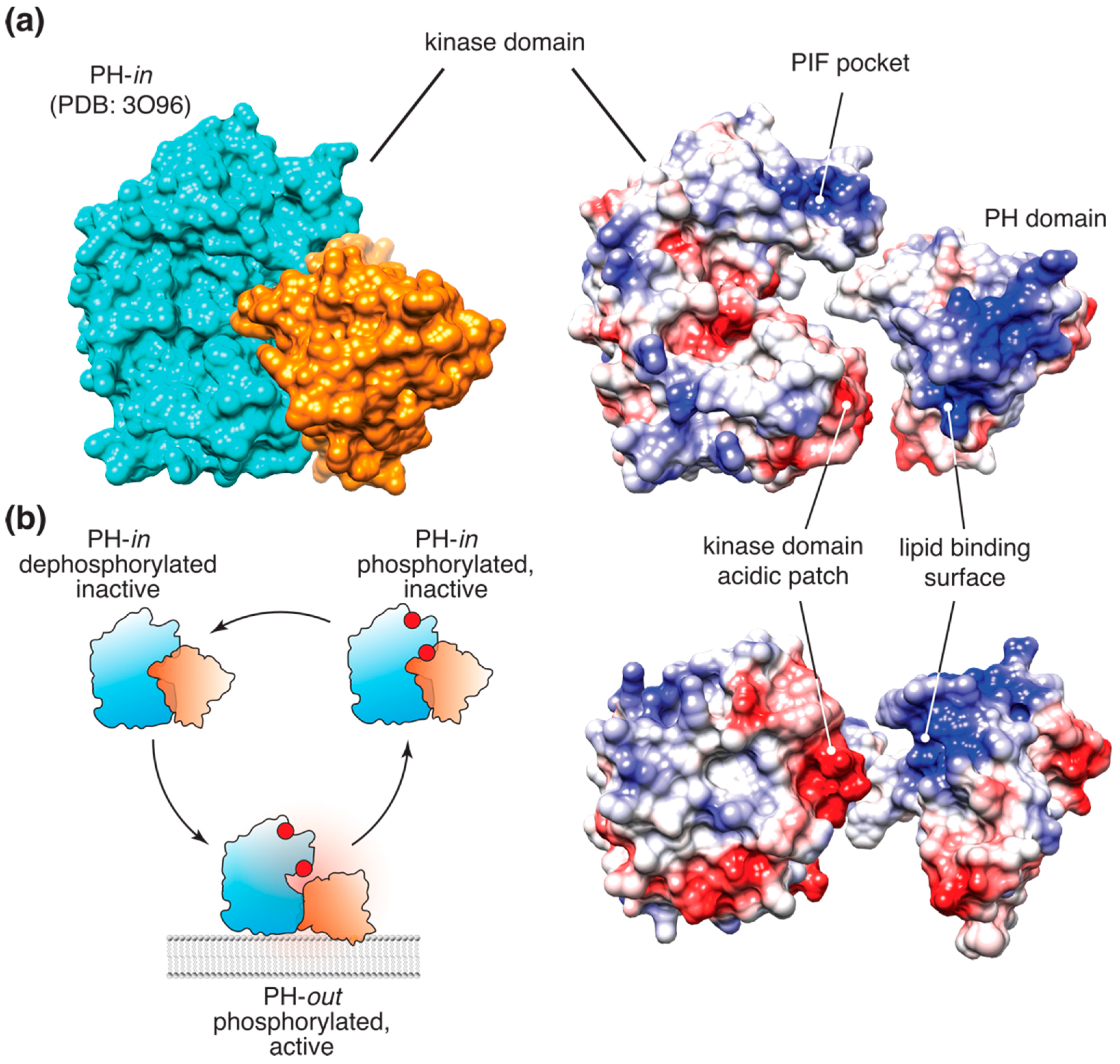 Biomolecules 09 00067 g001