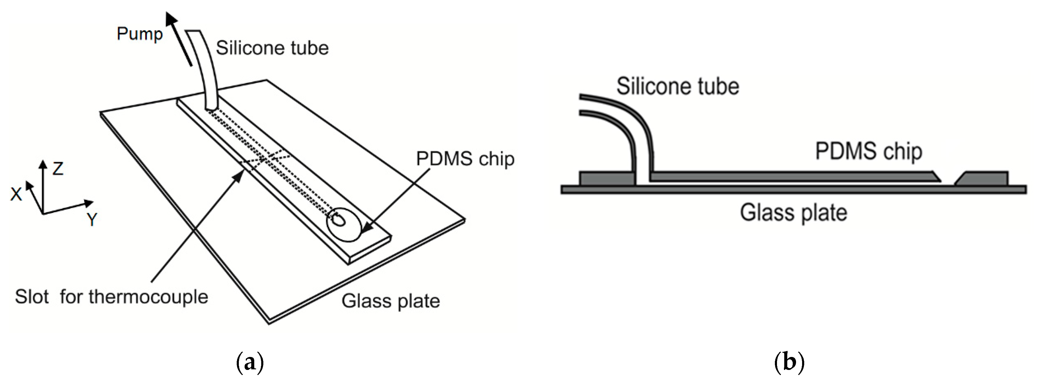 Biomolecules 09 00070 g002