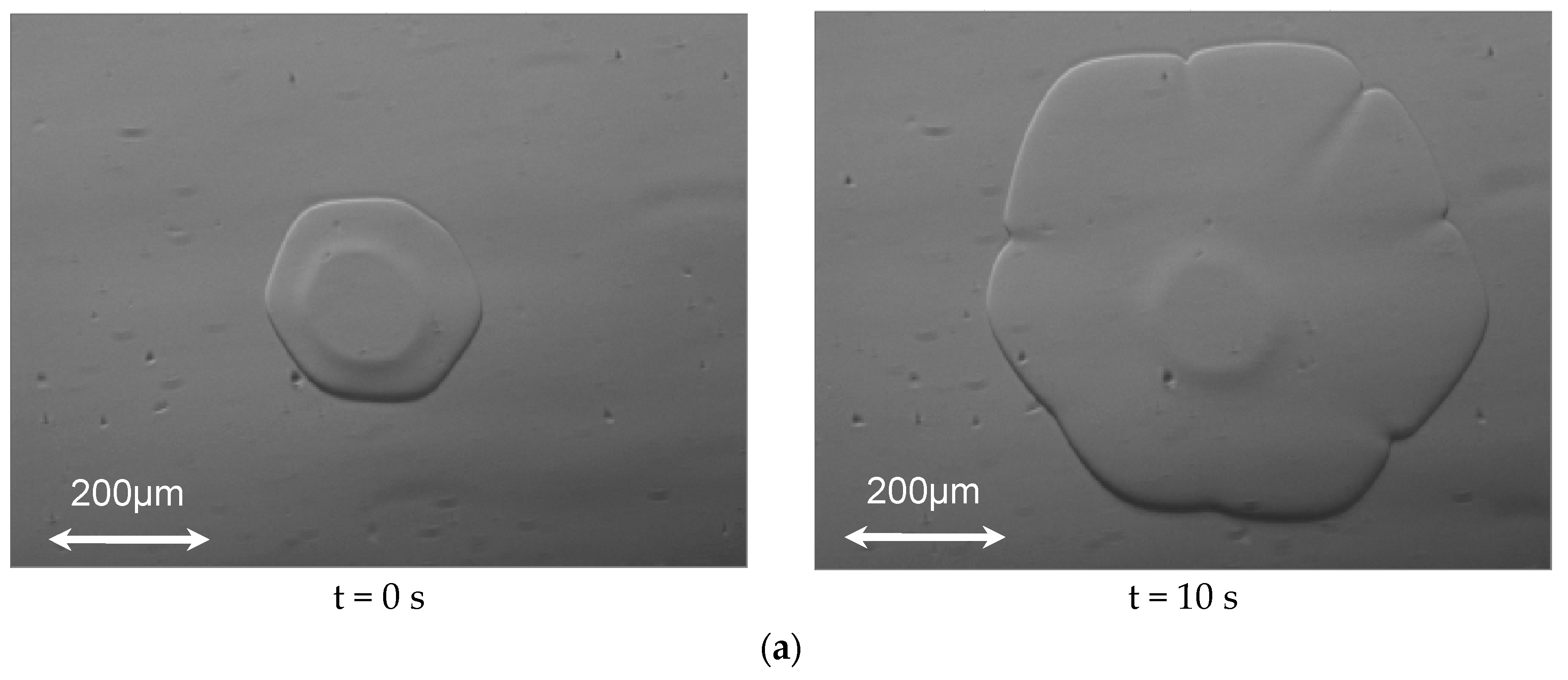 Biomolecules 09 00070 g003a