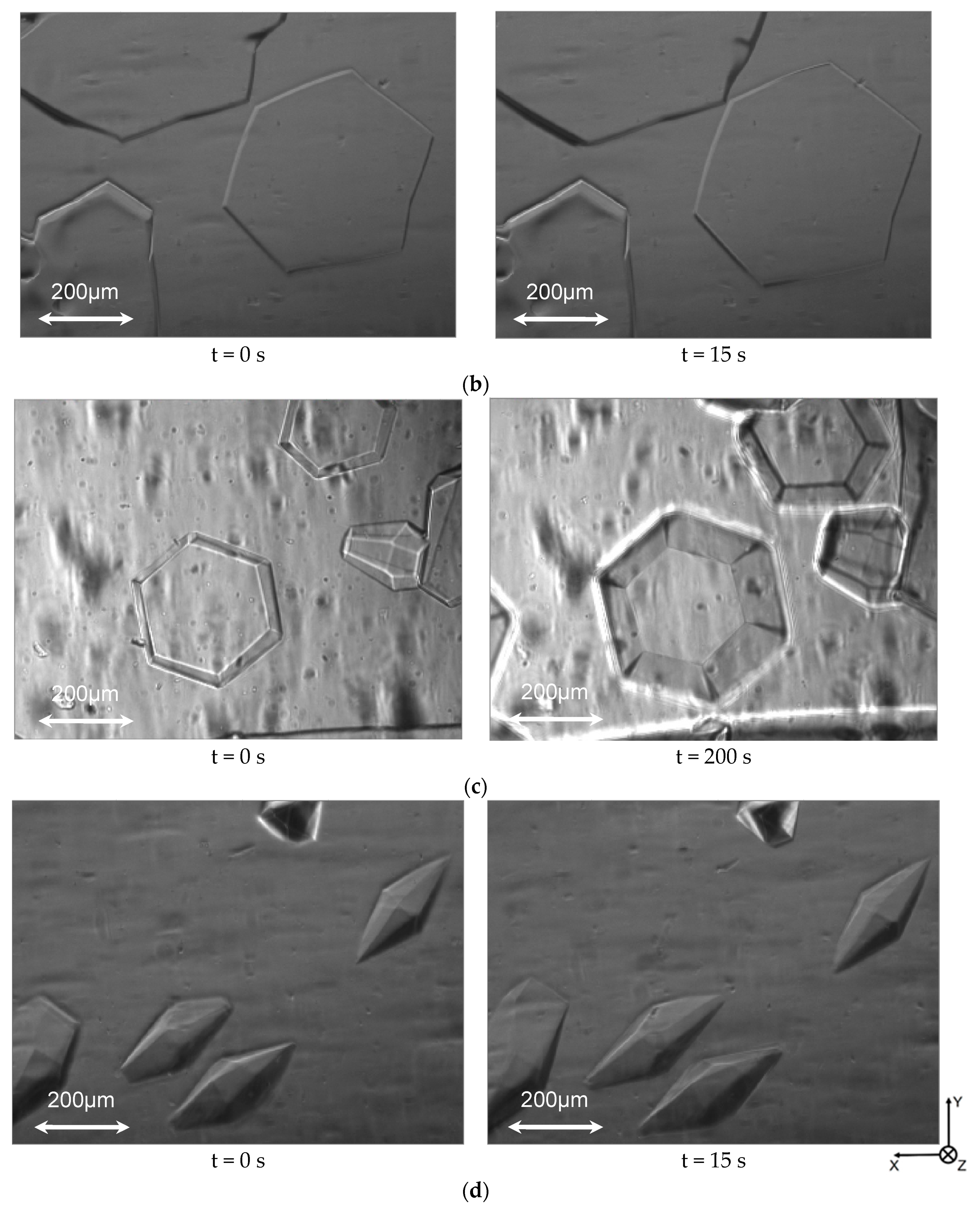 Biomolecules 09 00070 g003b