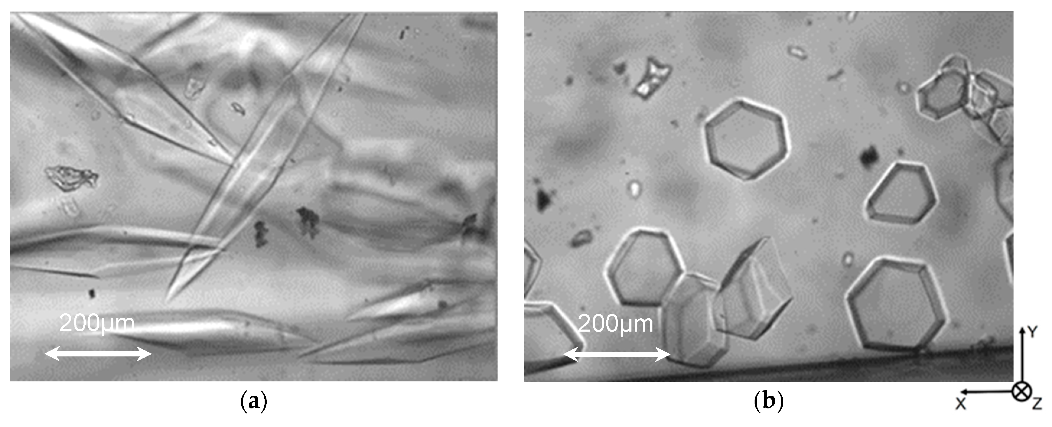 Biomolecules 09 00070 g006