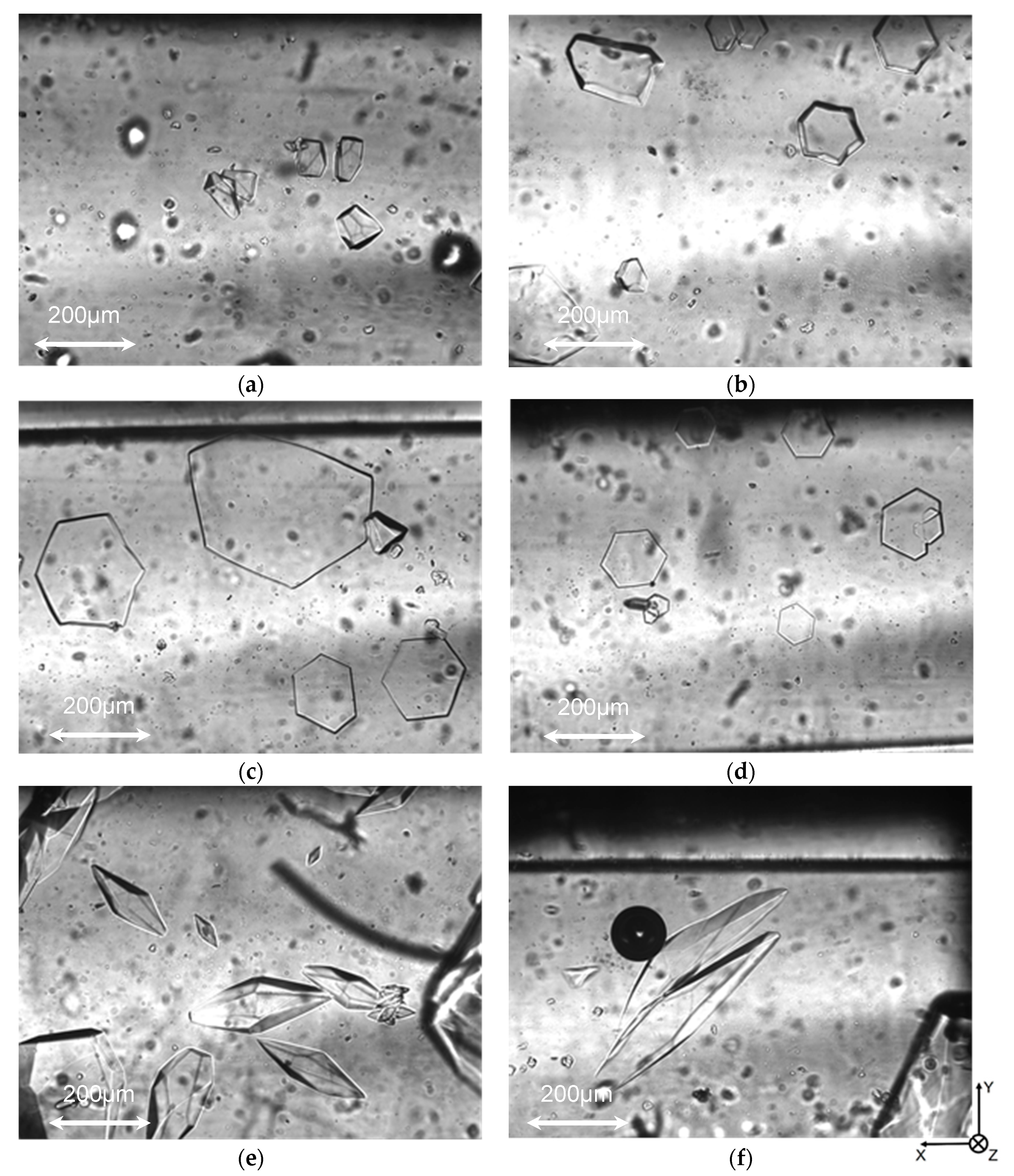 Biomolecules 09 00070 g007