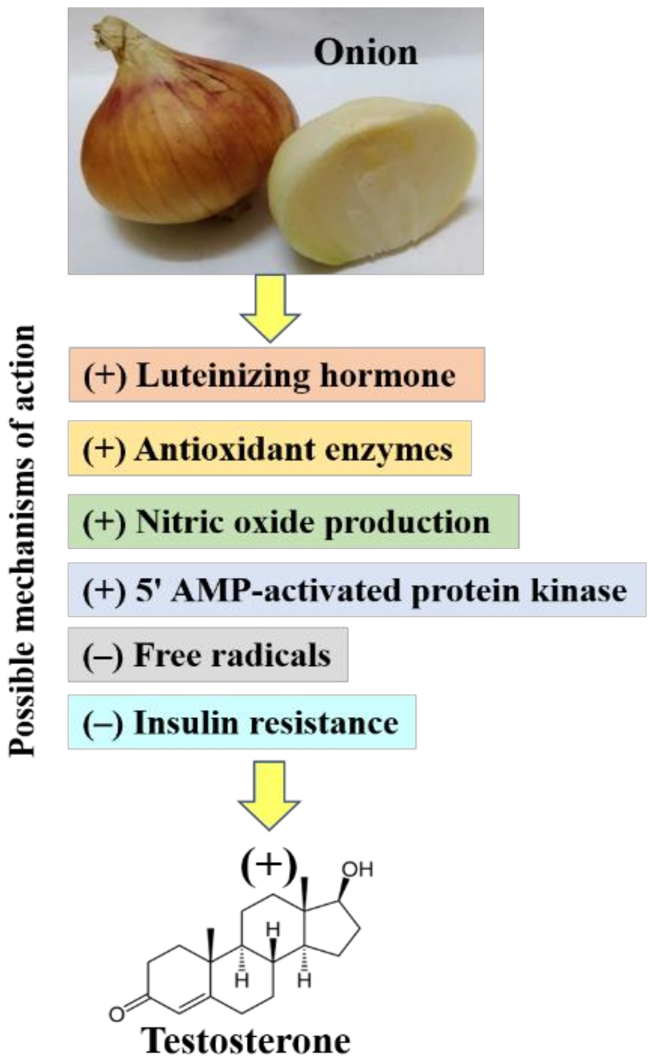 Biomolecules Free FullText Testosterone in Males as Enhanced by