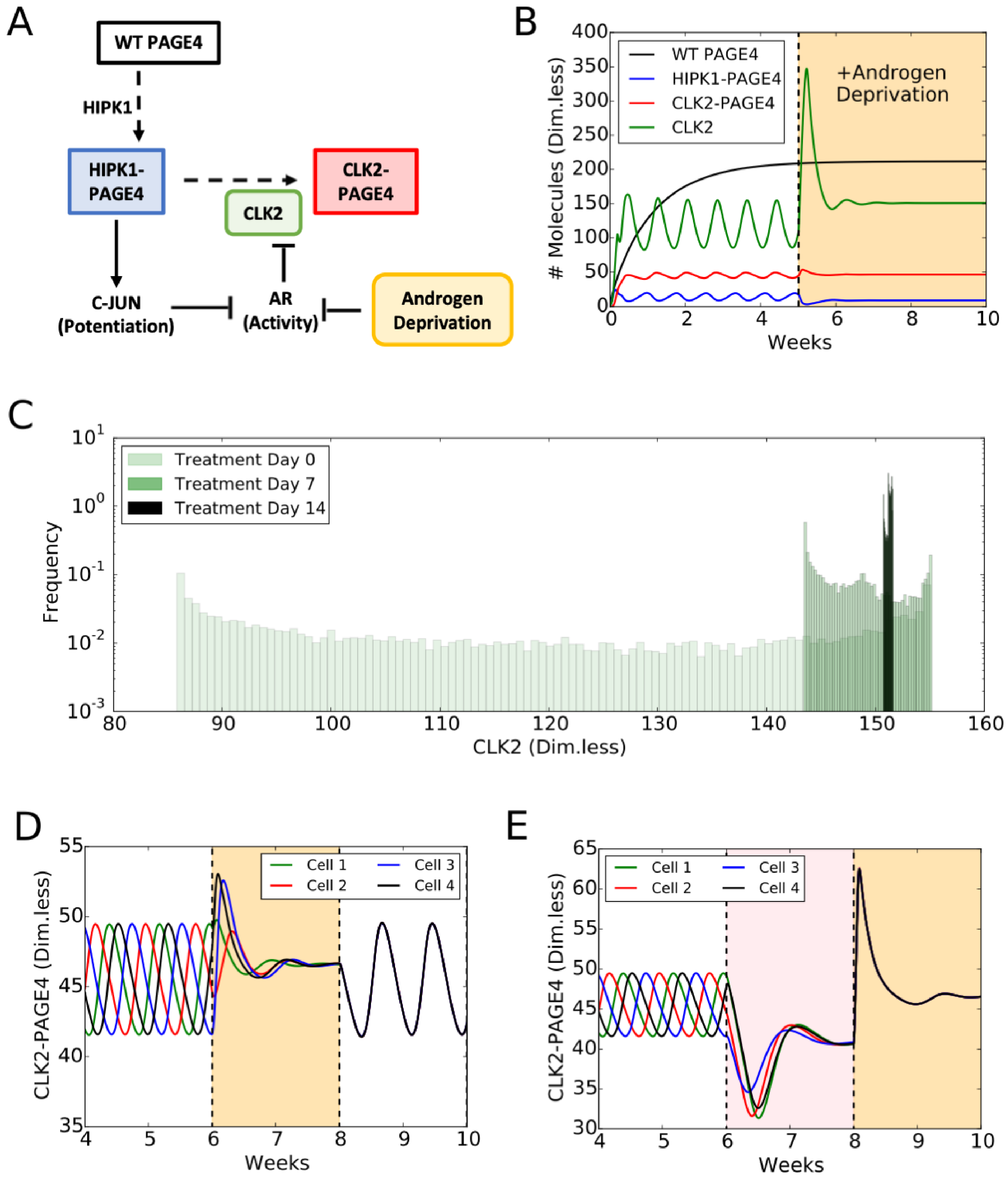 Biomolecules 09 00077 g005 550
