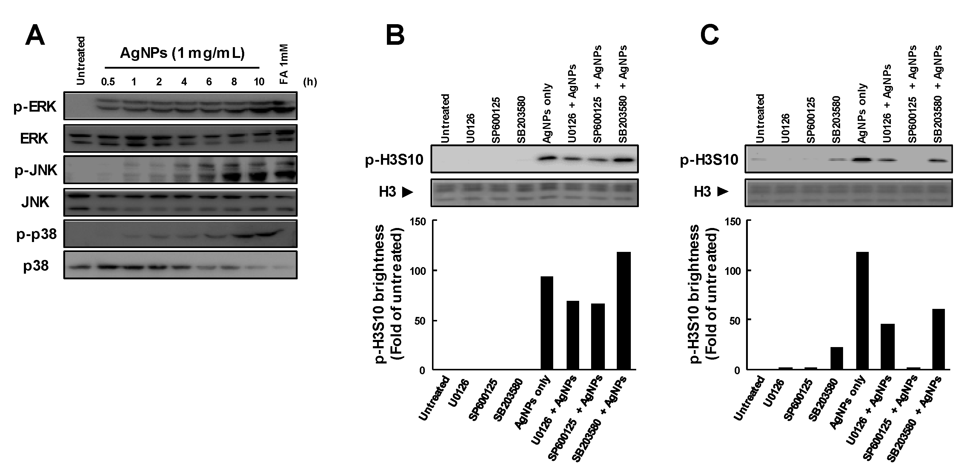 Biomolecules 09 00078 g002 Biomolecules 09 00078 g002