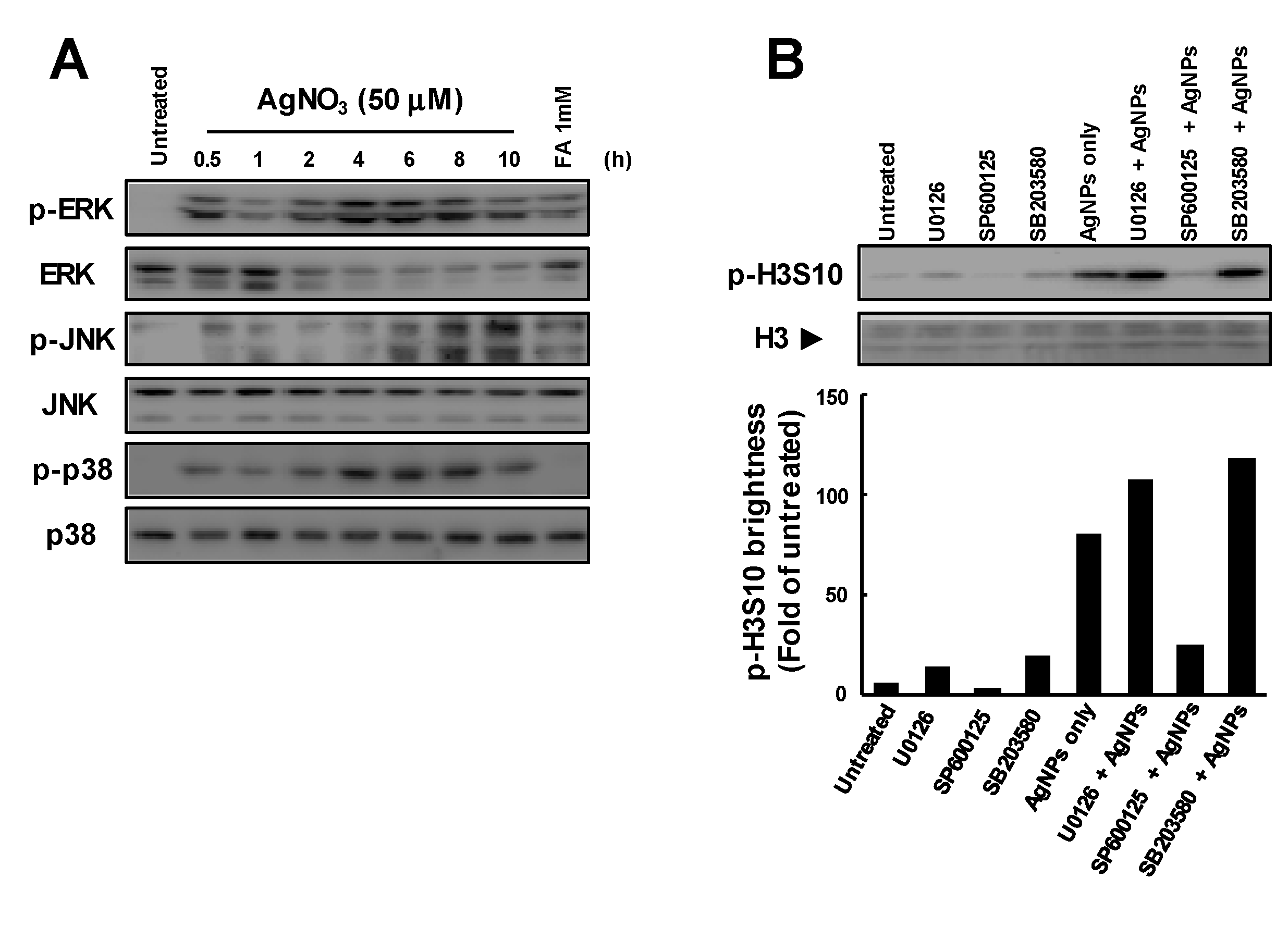 Biomolecules 09 00078 g003 Biomolecules 09 00078 g003