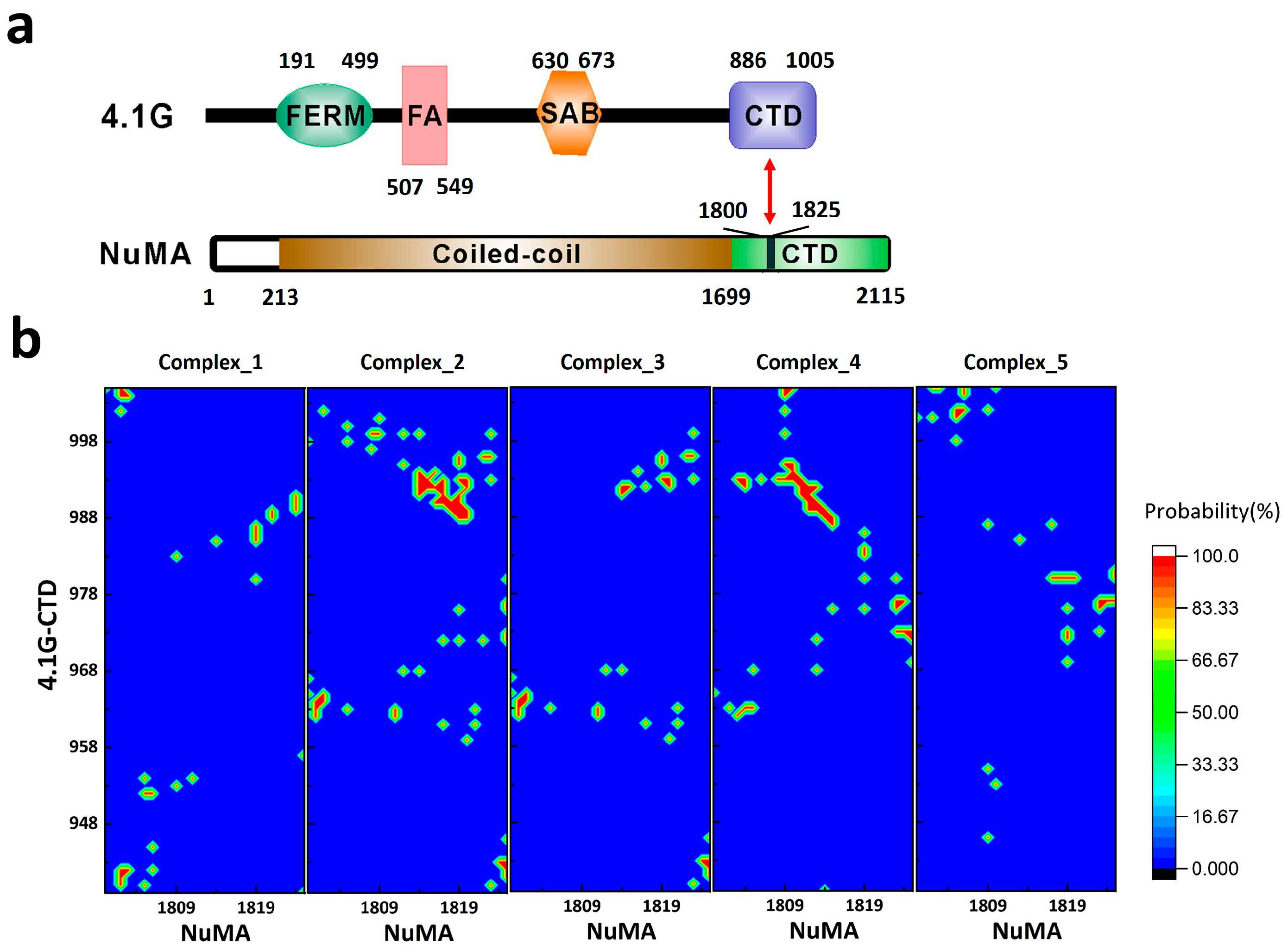 Extreme Fuzziness: Direct Interactions between Two IDPs