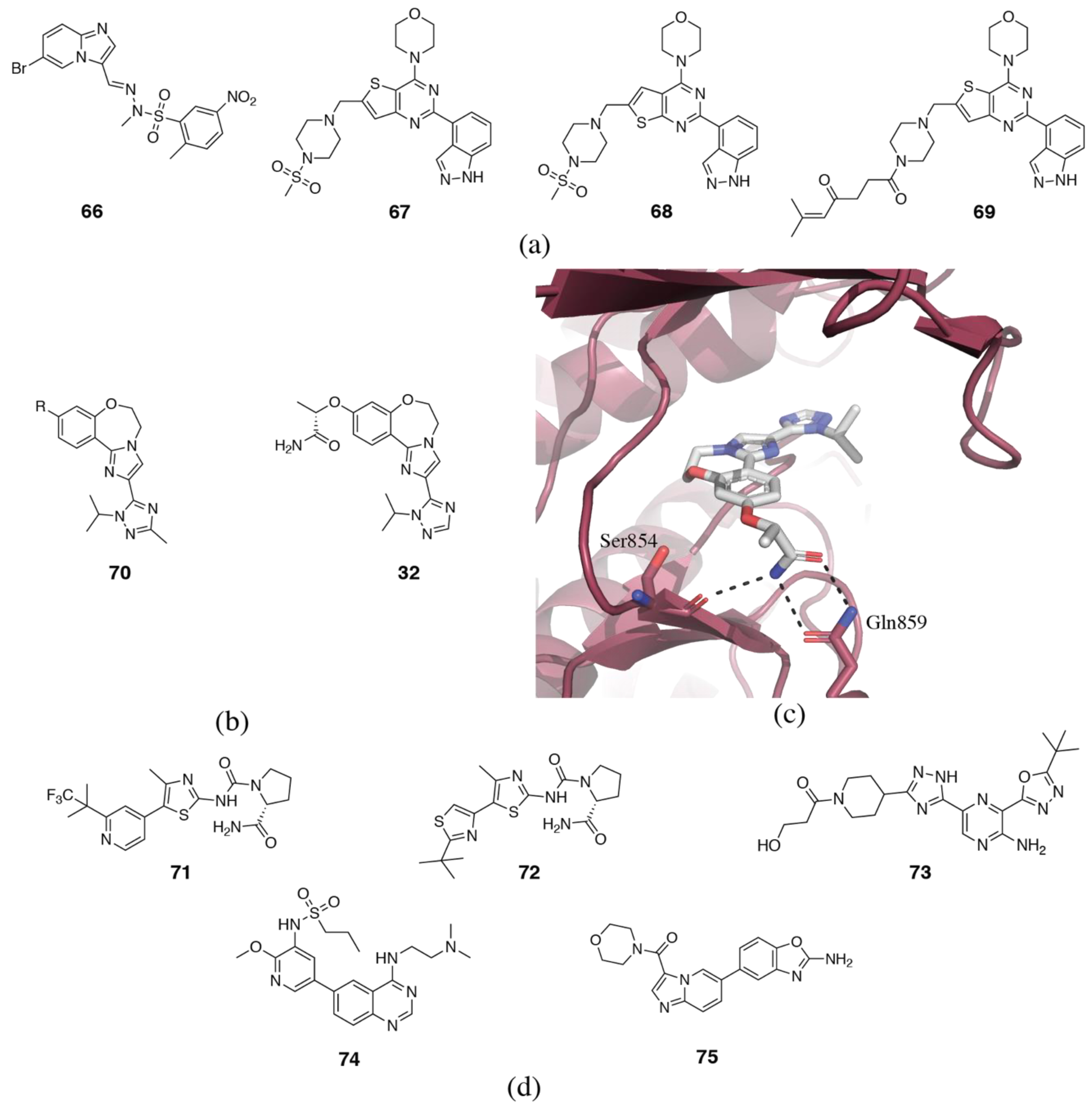 Biomolecules 09 00082 g011
