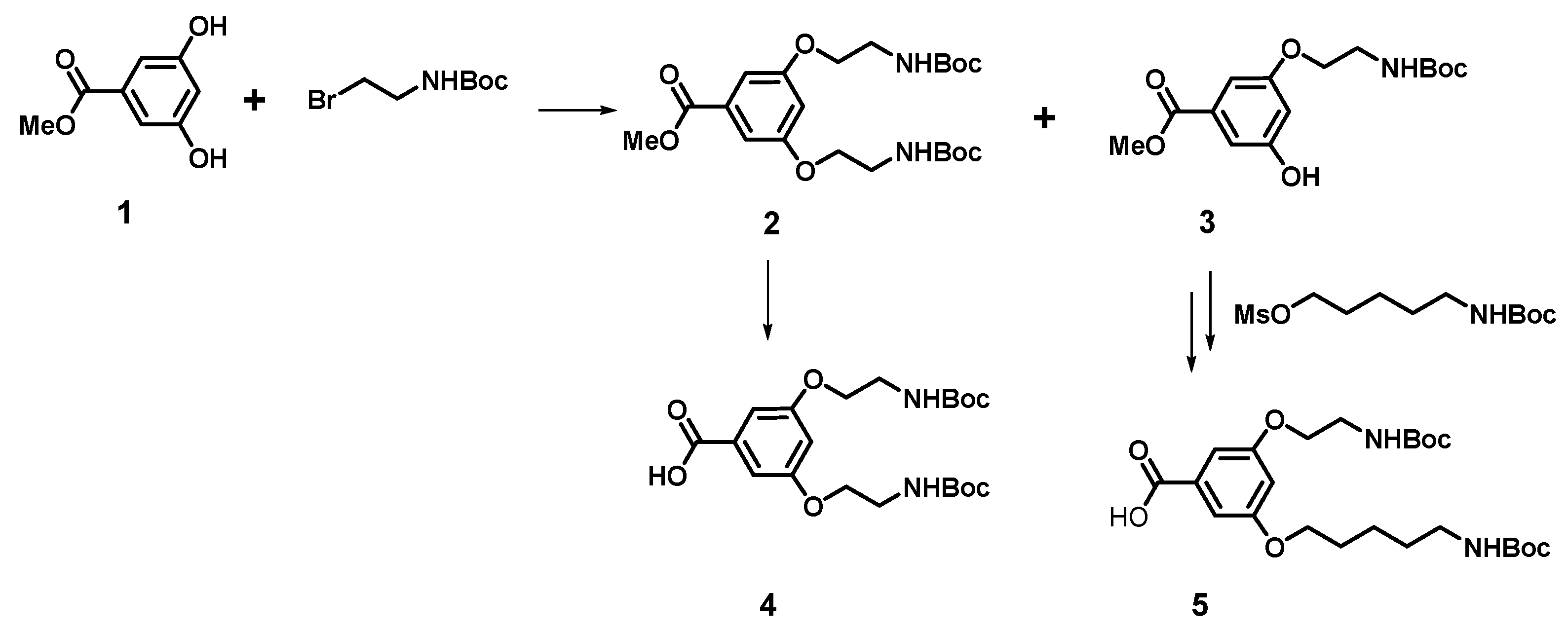 Biomolecules 09 00089 sch001