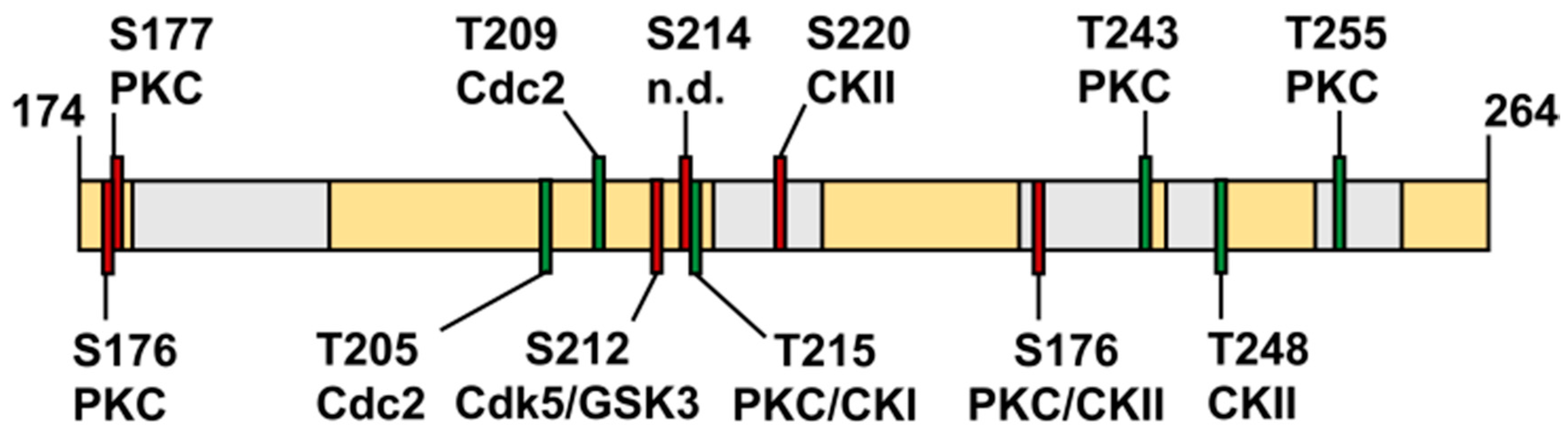 Biomolecules 09 00093 g010