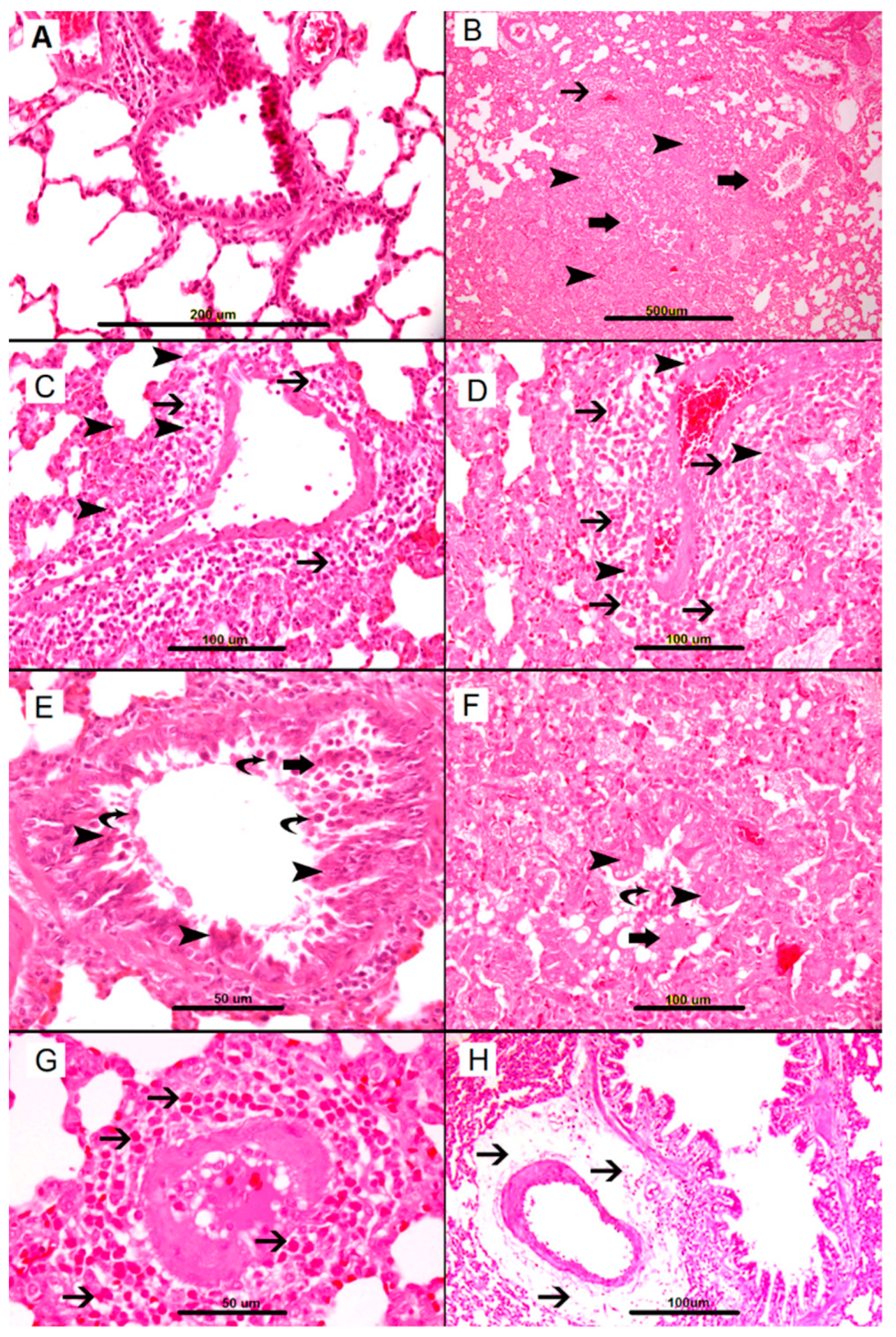 Biomolecules 09 00101 g001