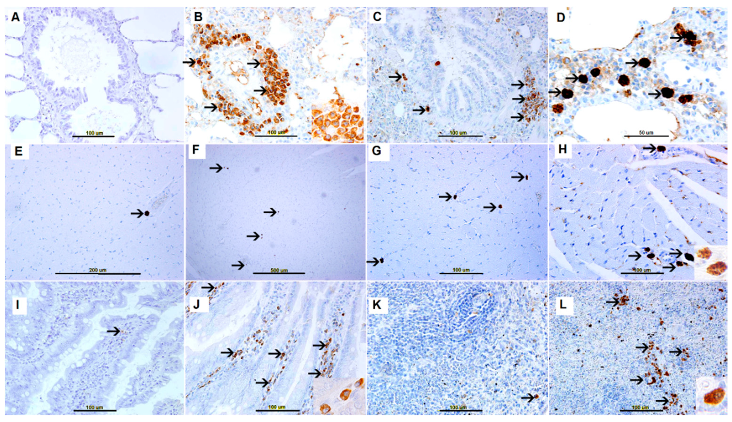 Biomolecules 09 00101 g005