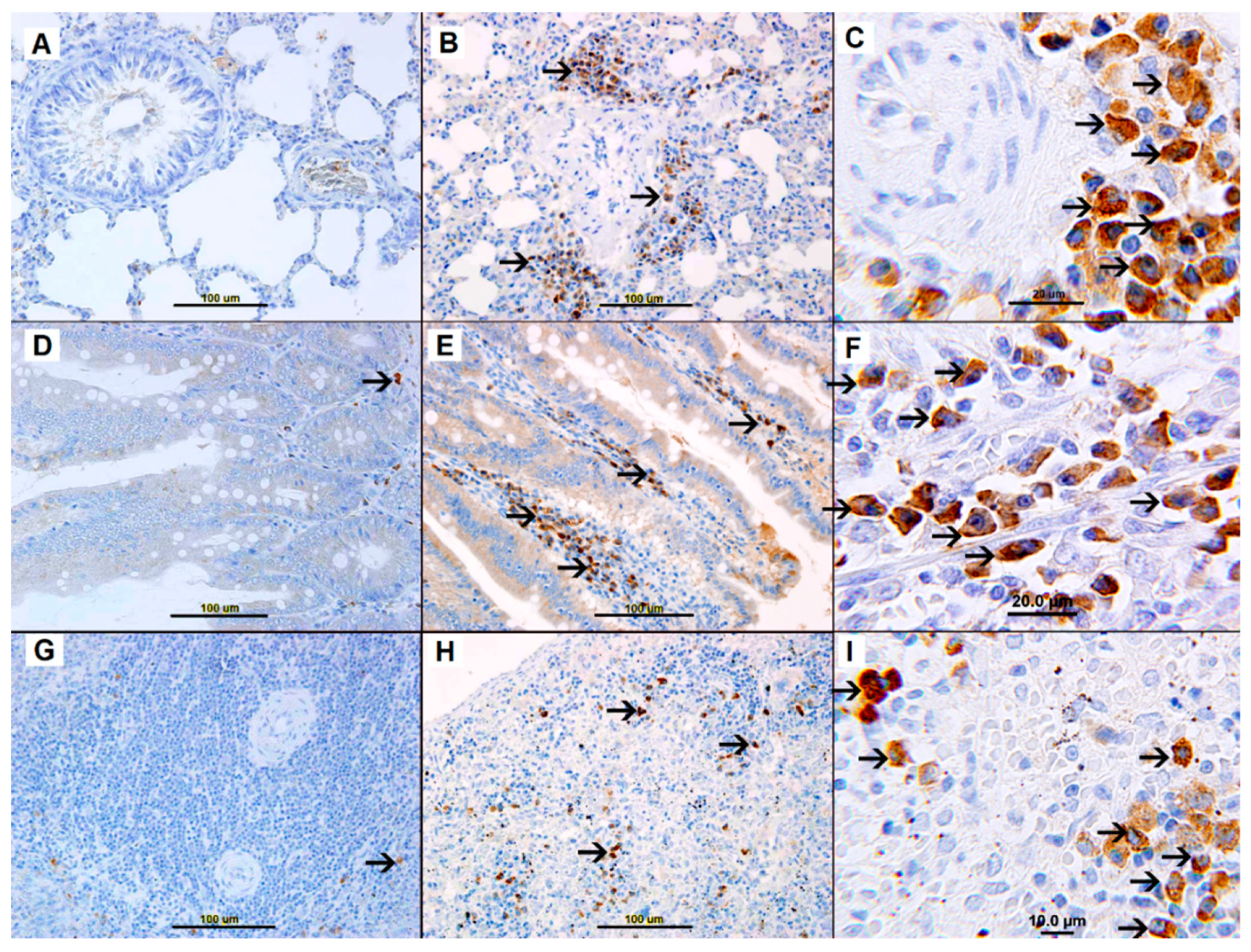Biomolecules 09 00101 g007